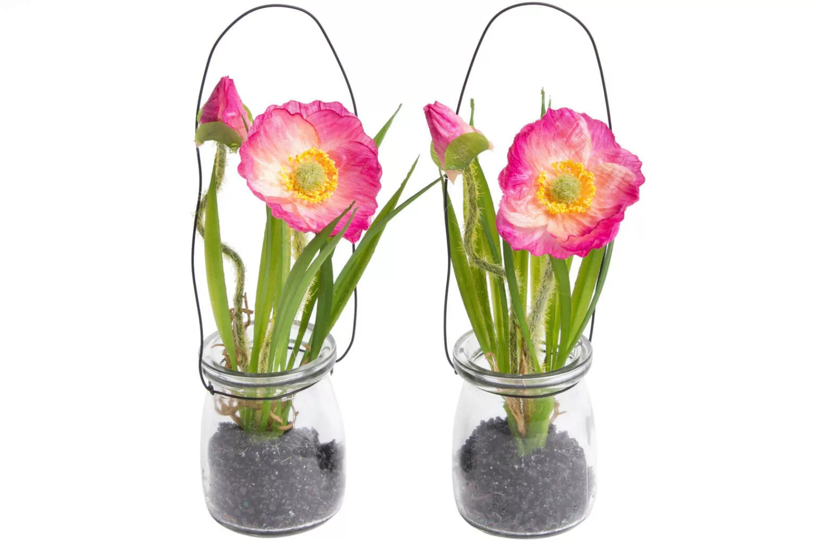 Botanic-Haus Kunstblume "Mohnblume im Glas" günstig online kaufen