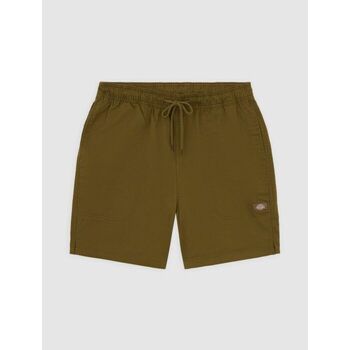 Dickies  Shorts PELICAN RAPIDS  - DK0A4XB2-DKO1 DARK OLIVE günstig online kaufen