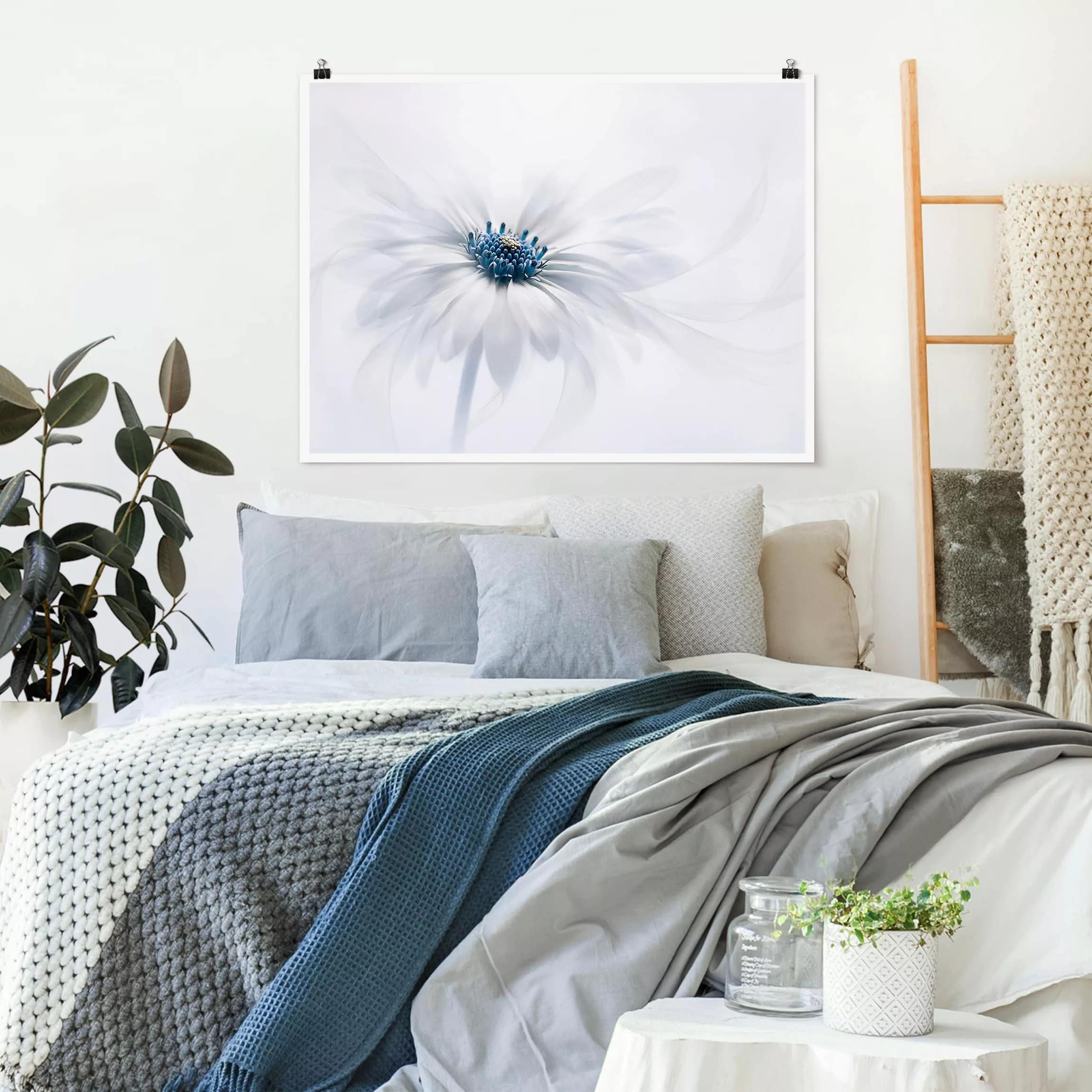 Poster Blumen - Querformat Gänseblümchen in Blau günstig online kaufen