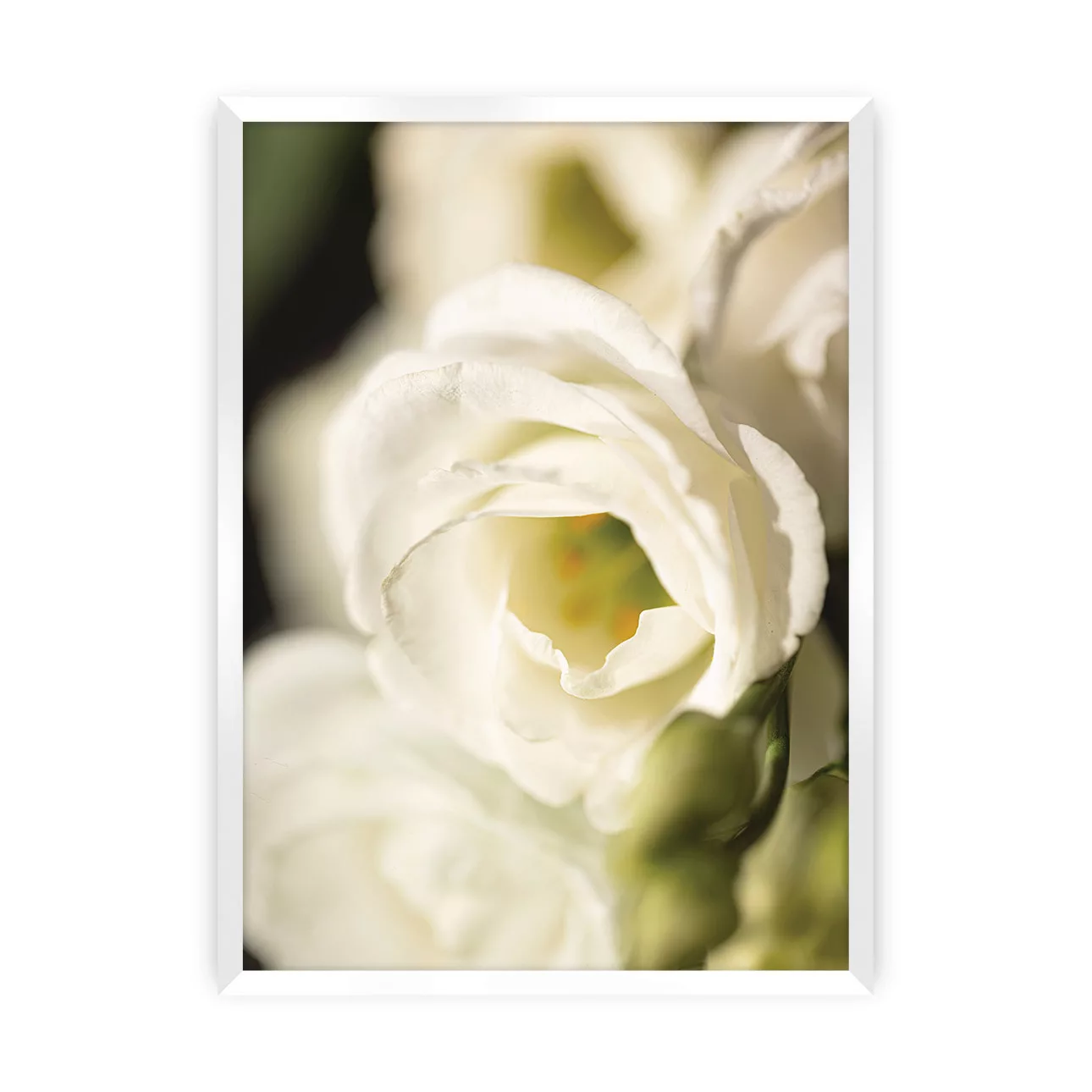 Poster Flower Wall, 40 x 50 cm, Rahmen wählen: weiss günstig online kaufen