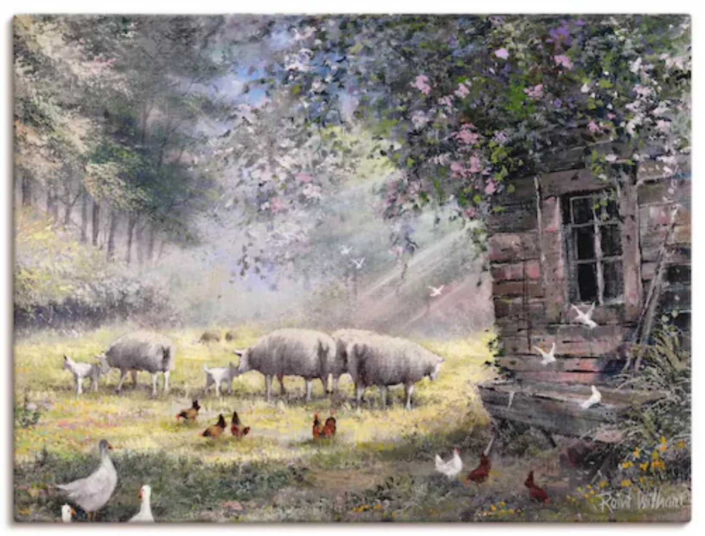 Artland Leinwandbild "Hühner und Schafe", Haustiere, (1 St.) günstig online kaufen