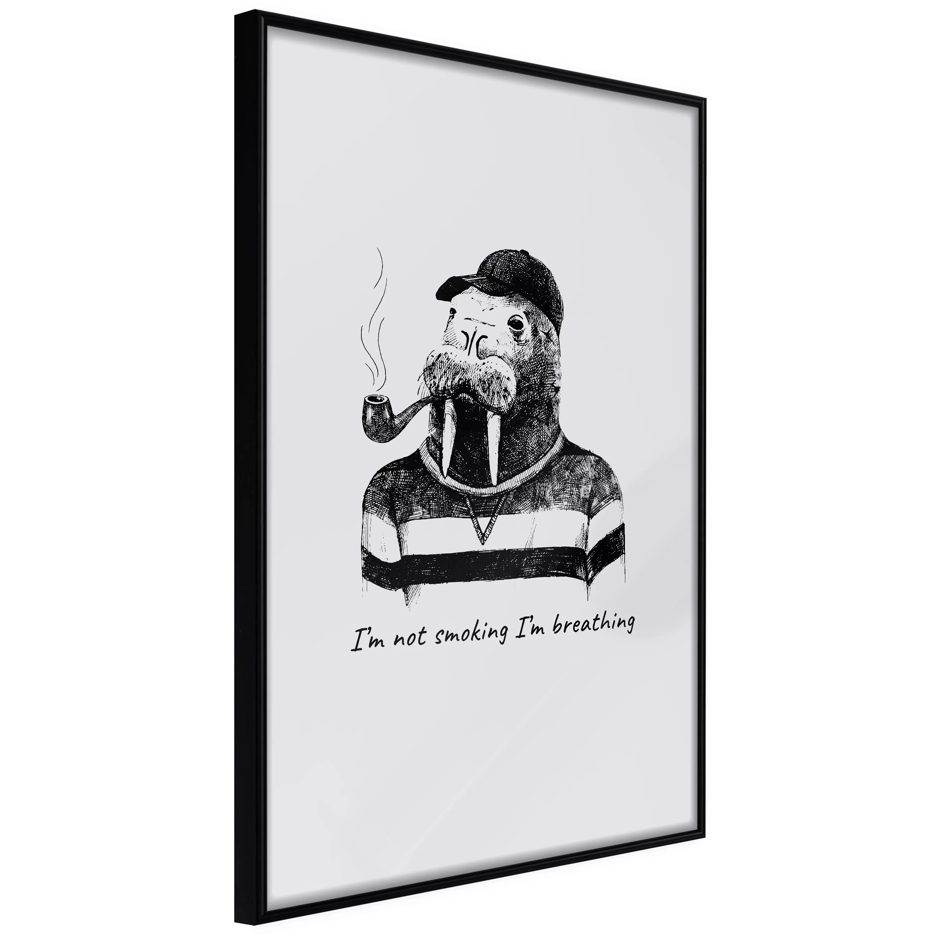 Poster - Captain Walrus günstig online kaufen