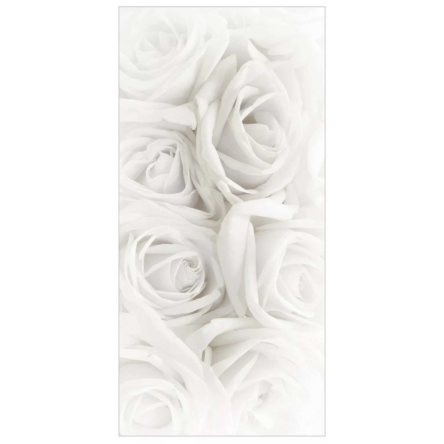 home24 Raumteiler Weiße Rosen günstig online kaufen