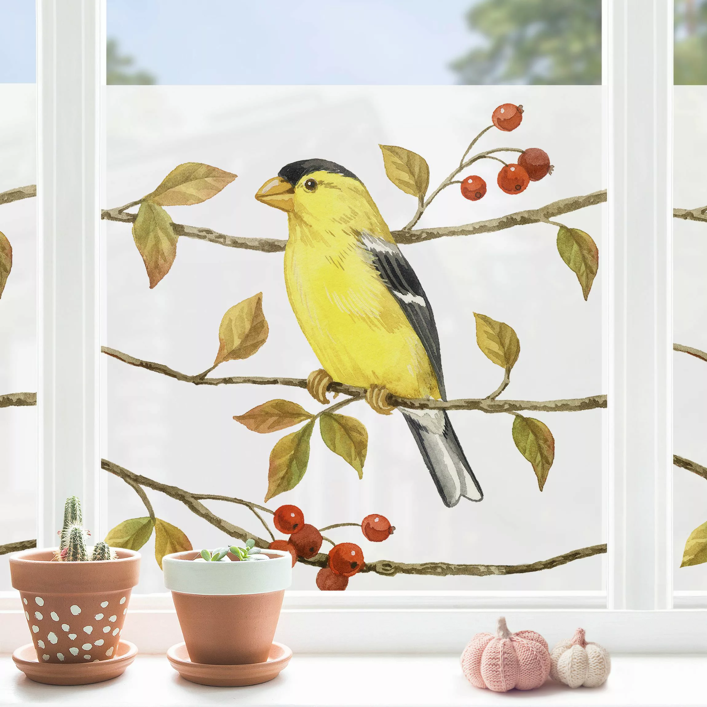 Fensterfolie Vögel und Beeren - Goldzeisig günstig online kaufen