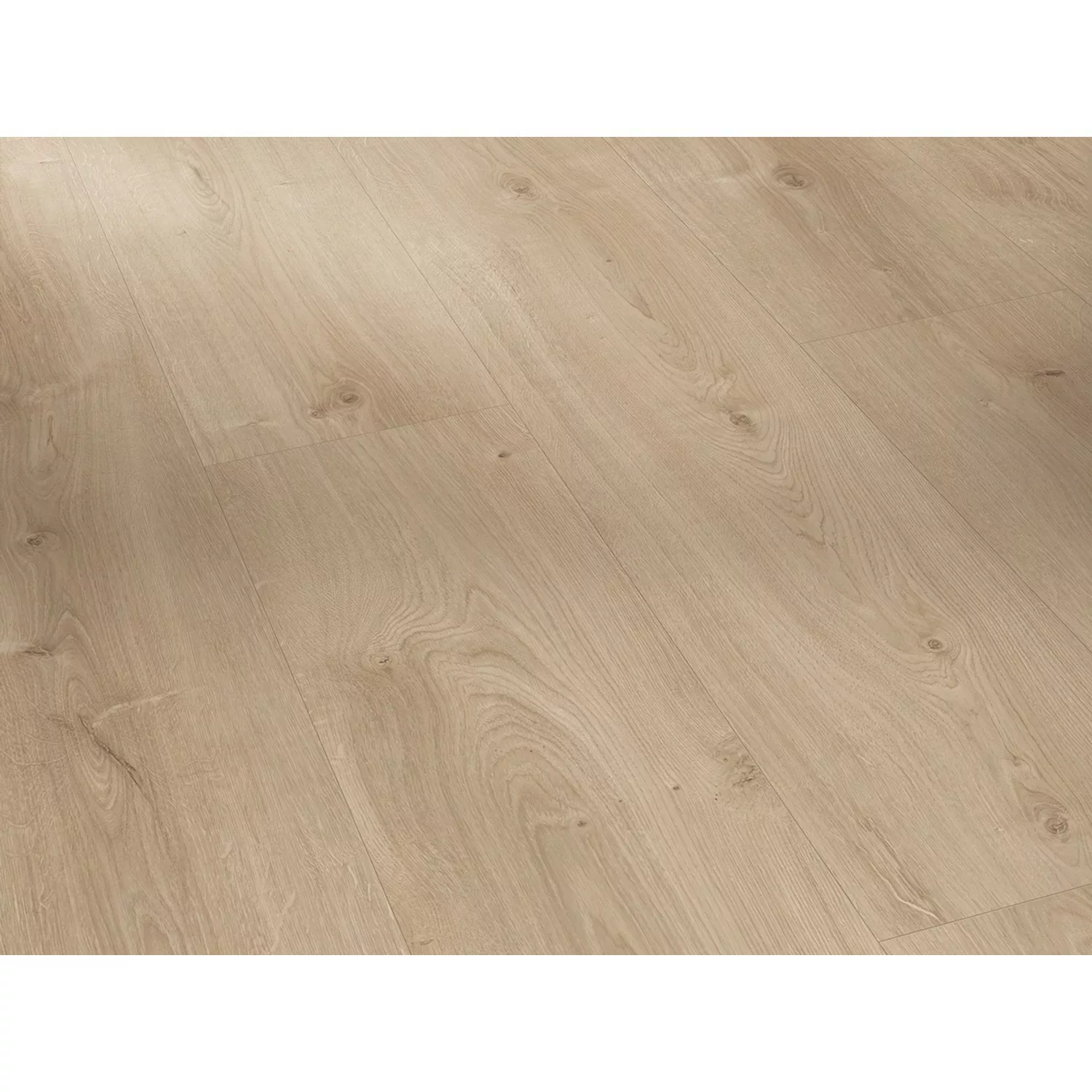 Parador Laminatboden Basic 600 Eiche Avant Landhausdiele klein günstig online kaufen