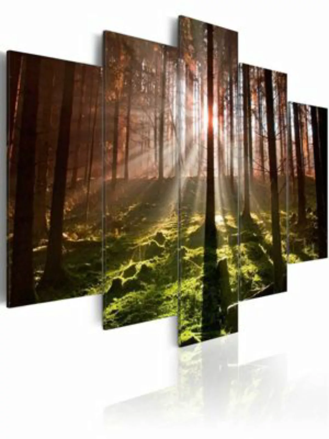 artgeist Wandbild Autumn silence mehrfarbig Gr. 200 x 100 günstig online kaufen