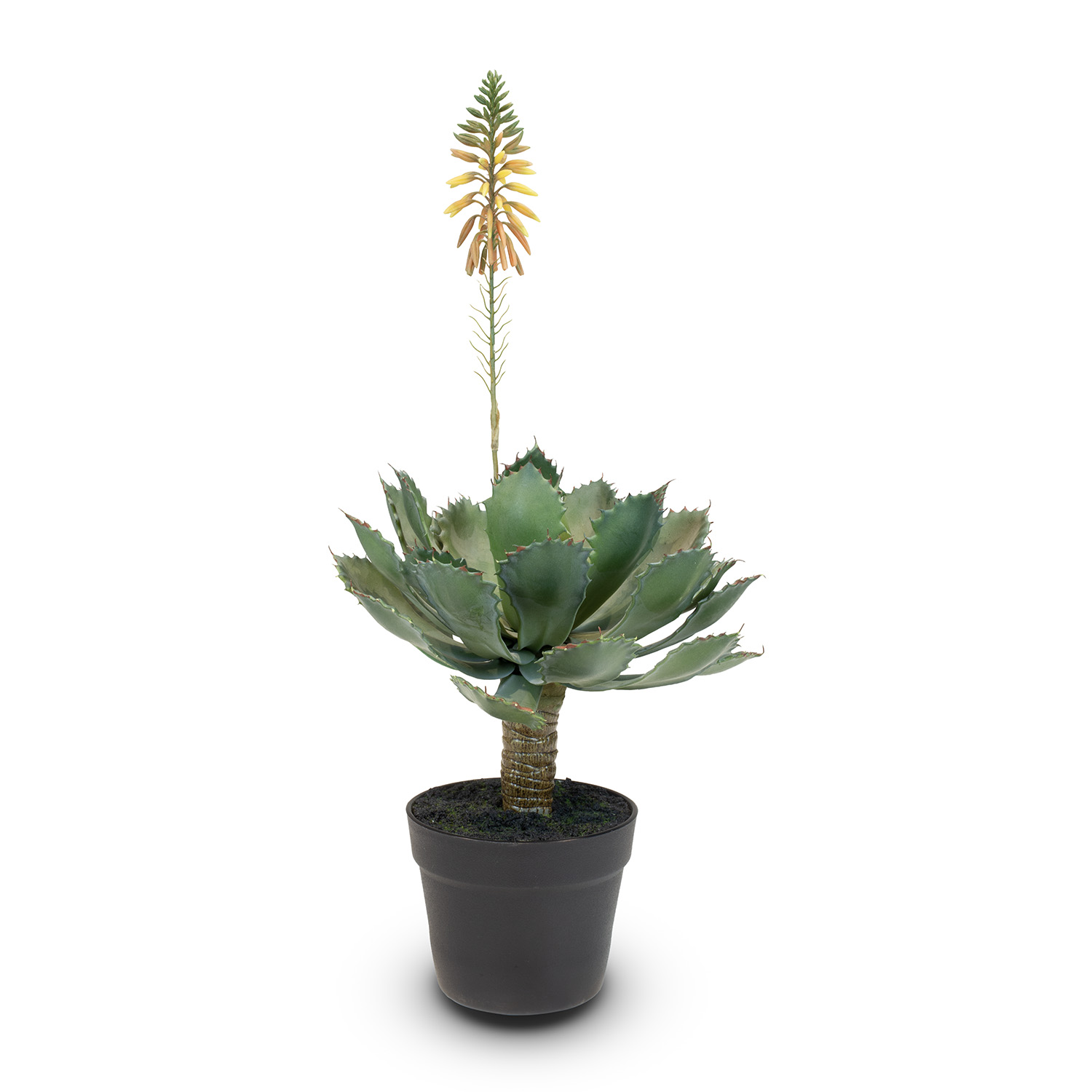 Aloe Vera Kunstpflanze, blühend 63 cm günstig online kaufen