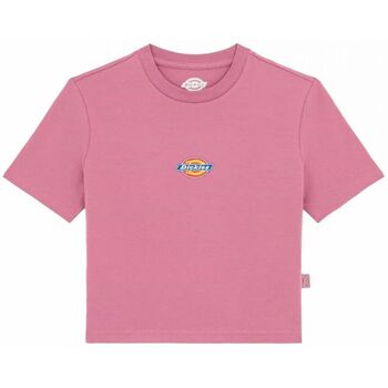 Dickies  T-Shirt MAPLE VALLEY DK0A4XPO-J541 MAUVE günstig online kaufen