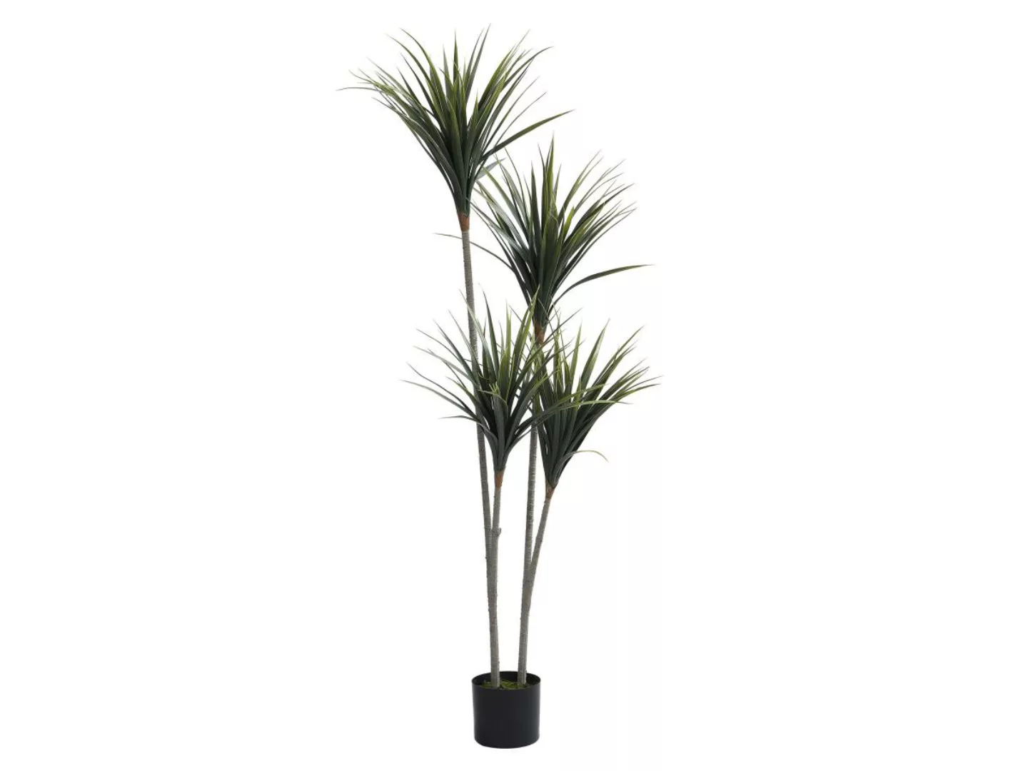 Kunstpflanze Yucca-Palme mit Topf - H. 150 cm - LYA günstig online kaufen