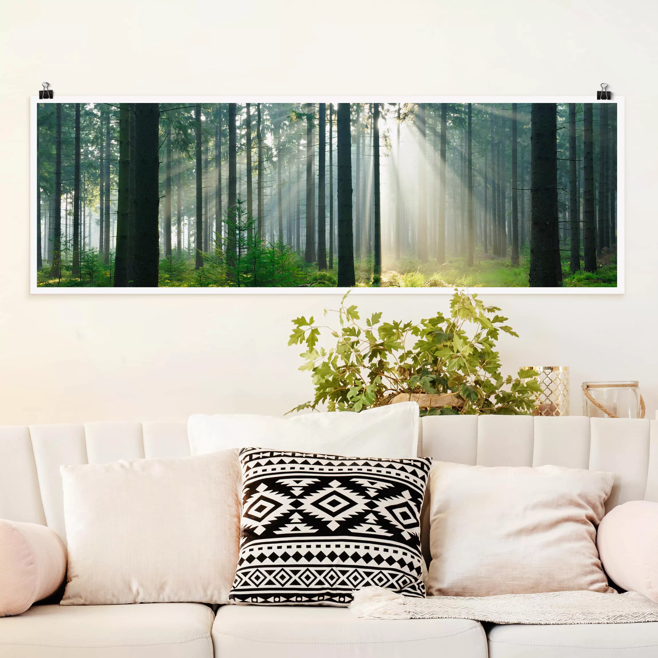 Panorama Poster Wald Enlightened Forest günstig online kaufen