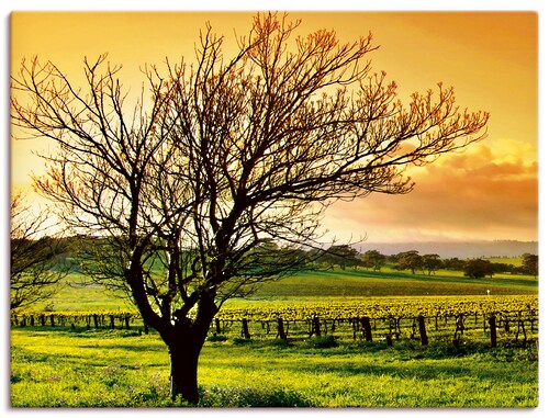 Artland Leinwandbild »Landschaft mit Weinbergen«, Felder, (1 St.), auf Keil günstig online kaufen