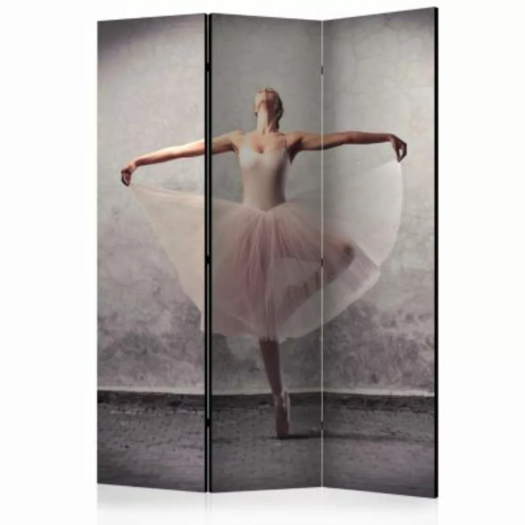 artgeist Paravent Classical dance - poetry without words [Room Dividers] me günstig online kaufen