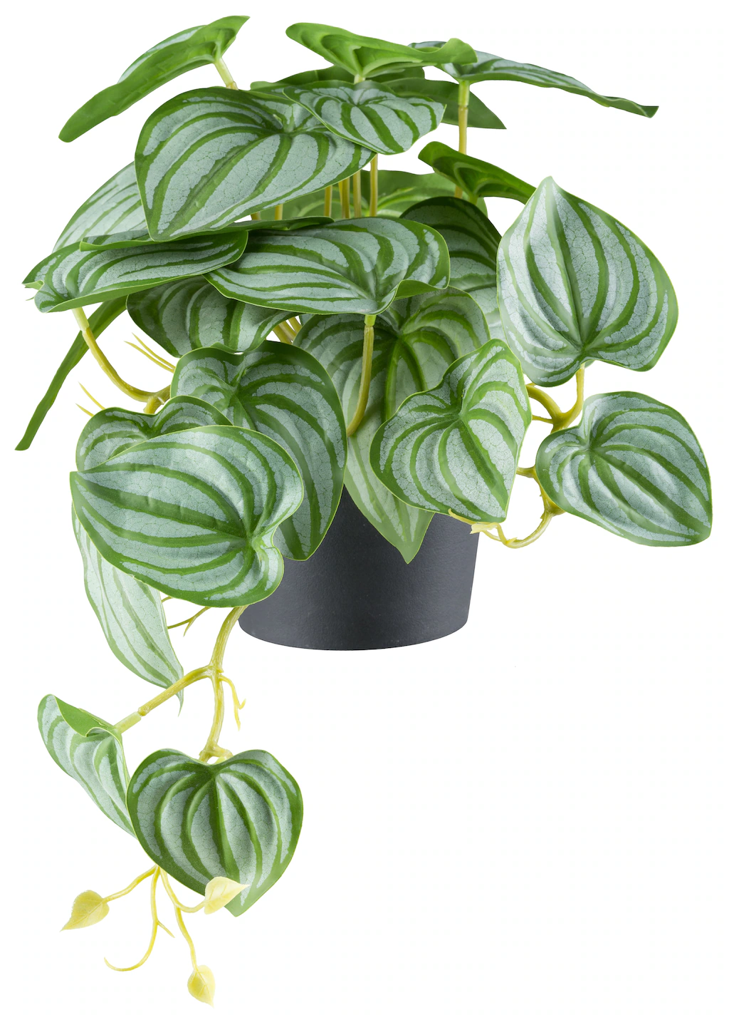 Creativ green Kunstpflanze "Peperomia", mit naturgetreuem Blattwerk Peperom günstig online kaufen