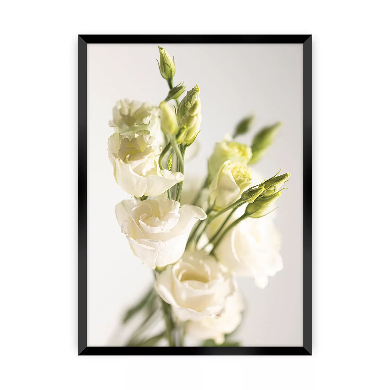 Poster Elegant Flowers, 30 x 40 cm, Rahmen wählen: schwarz günstig online kaufen