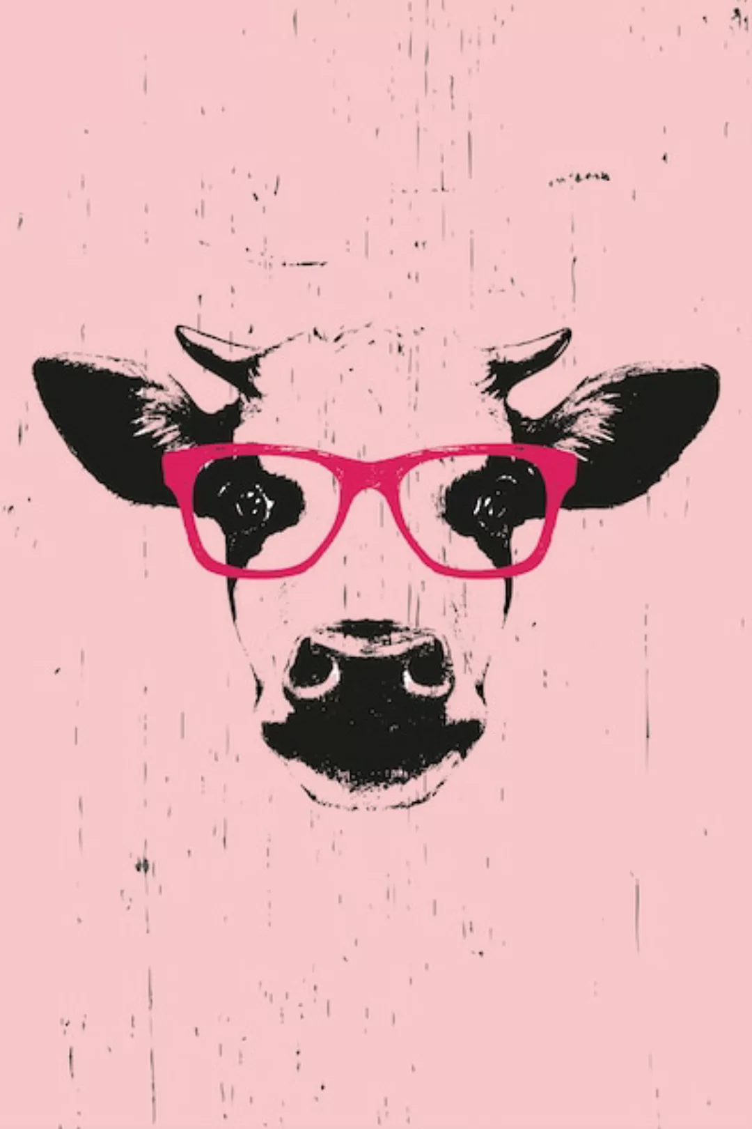queence Leinwandbild "Kuh mit Brille" günstig online kaufen