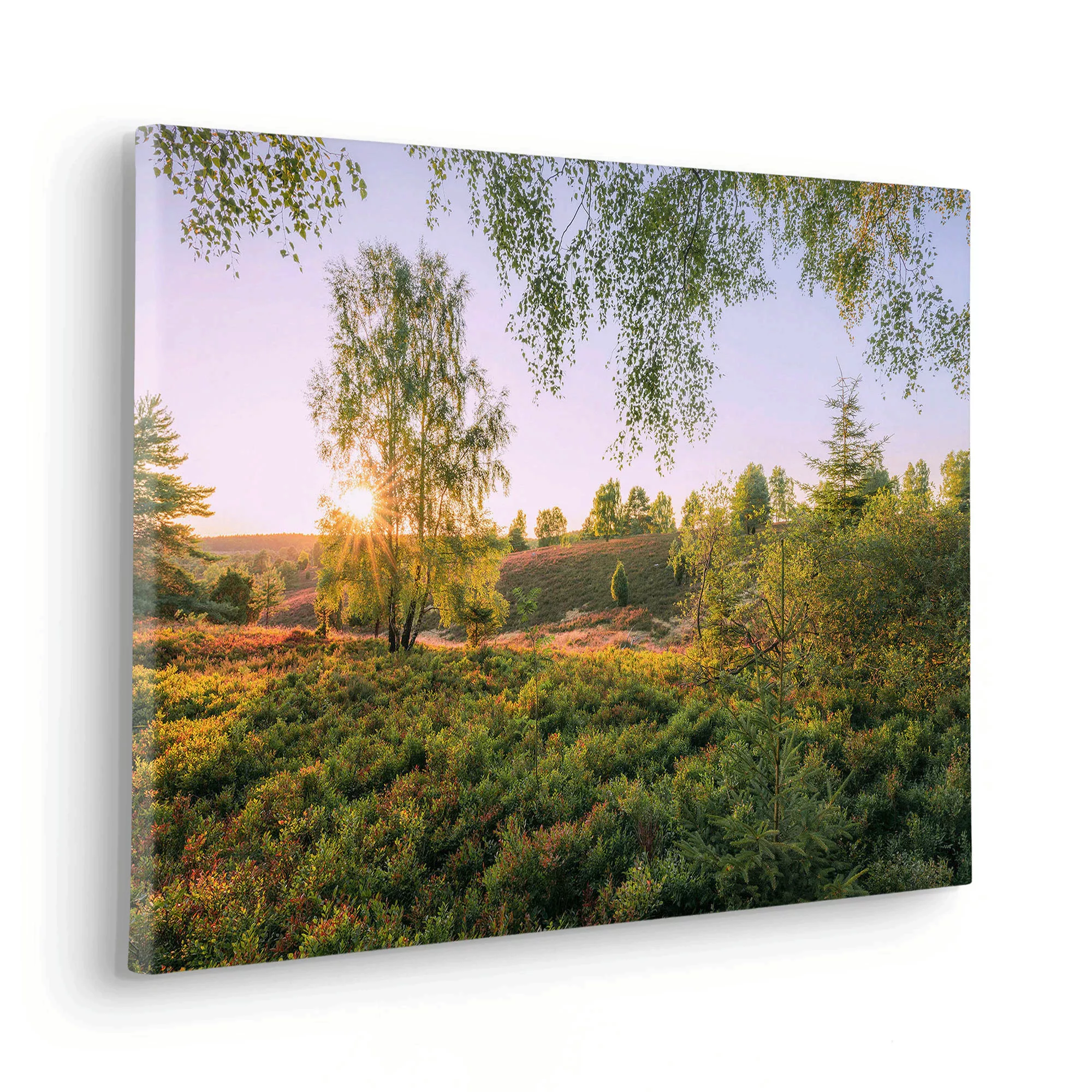 Komar Leinwandbild "Keilrahmenbild - Sommerabend - Größe 60 x 40 cm", Baum- günstig online kaufen