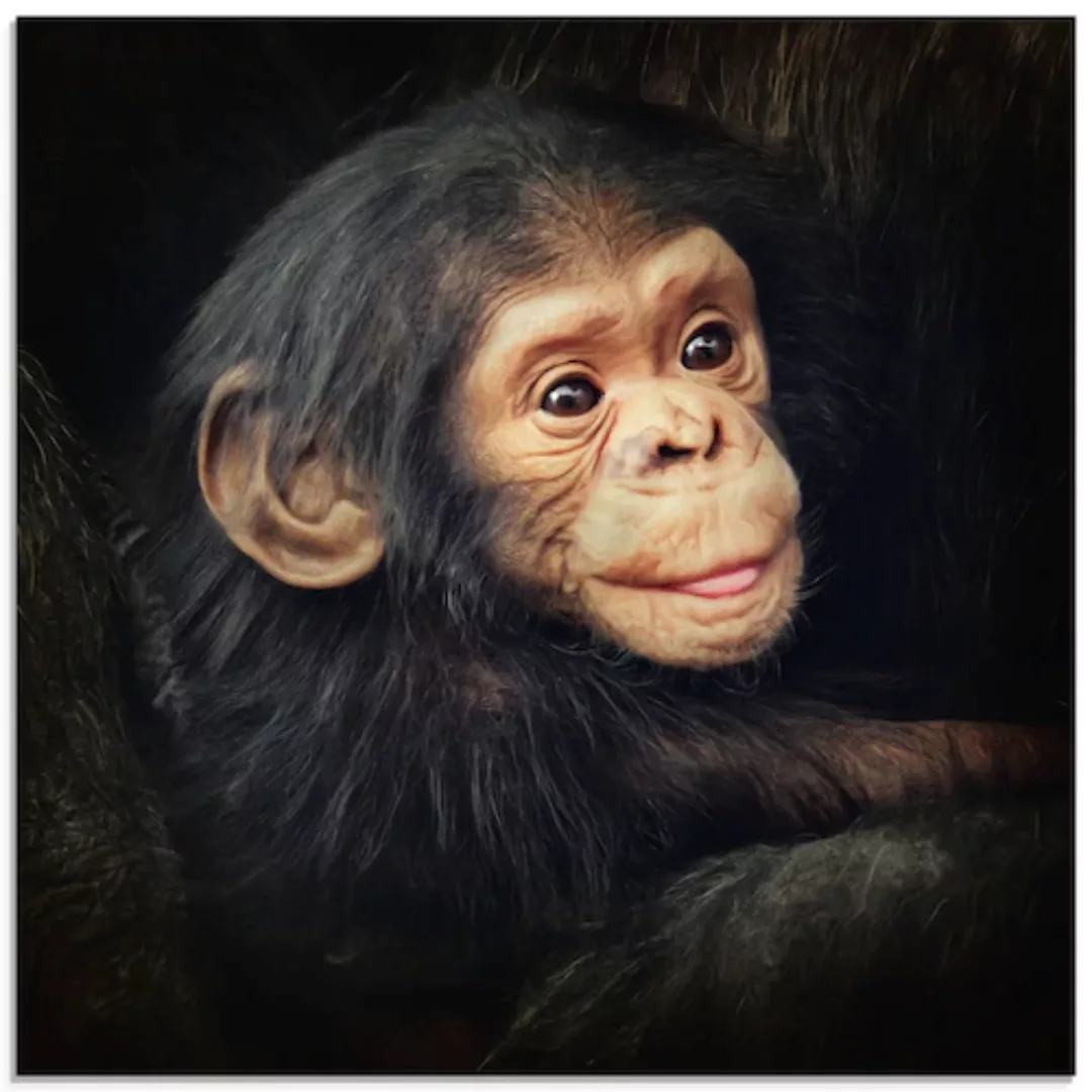 Artland Glasbild »Kleiner Schimpanse«, Wildtiere, (1 St.), in verschiedenen günstig online kaufen