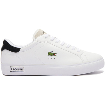 Lacoste  Sneaker - günstig online kaufen