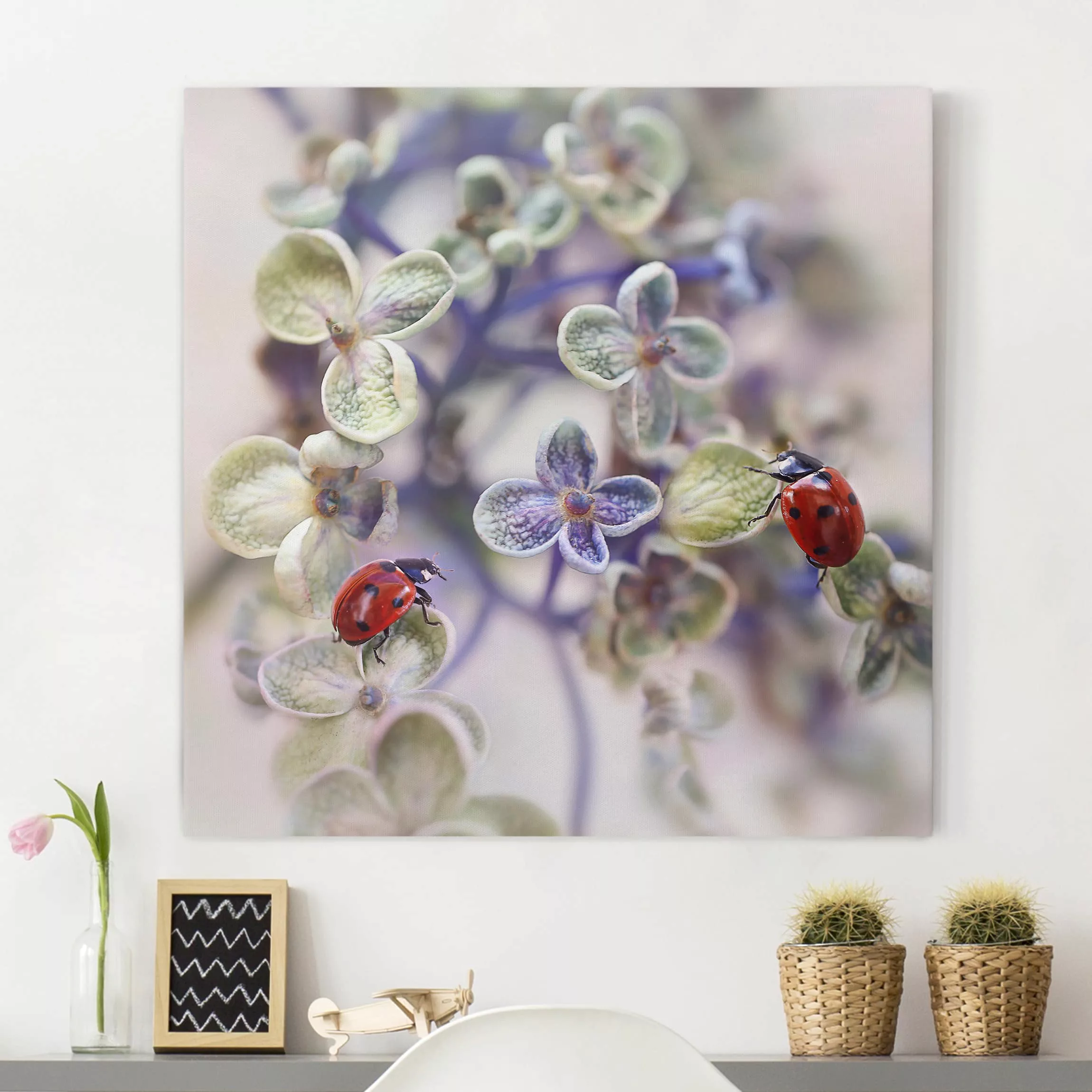 Leinwandbild Blumen - Quadrat Marienkäfer im Garten günstig online kaufen