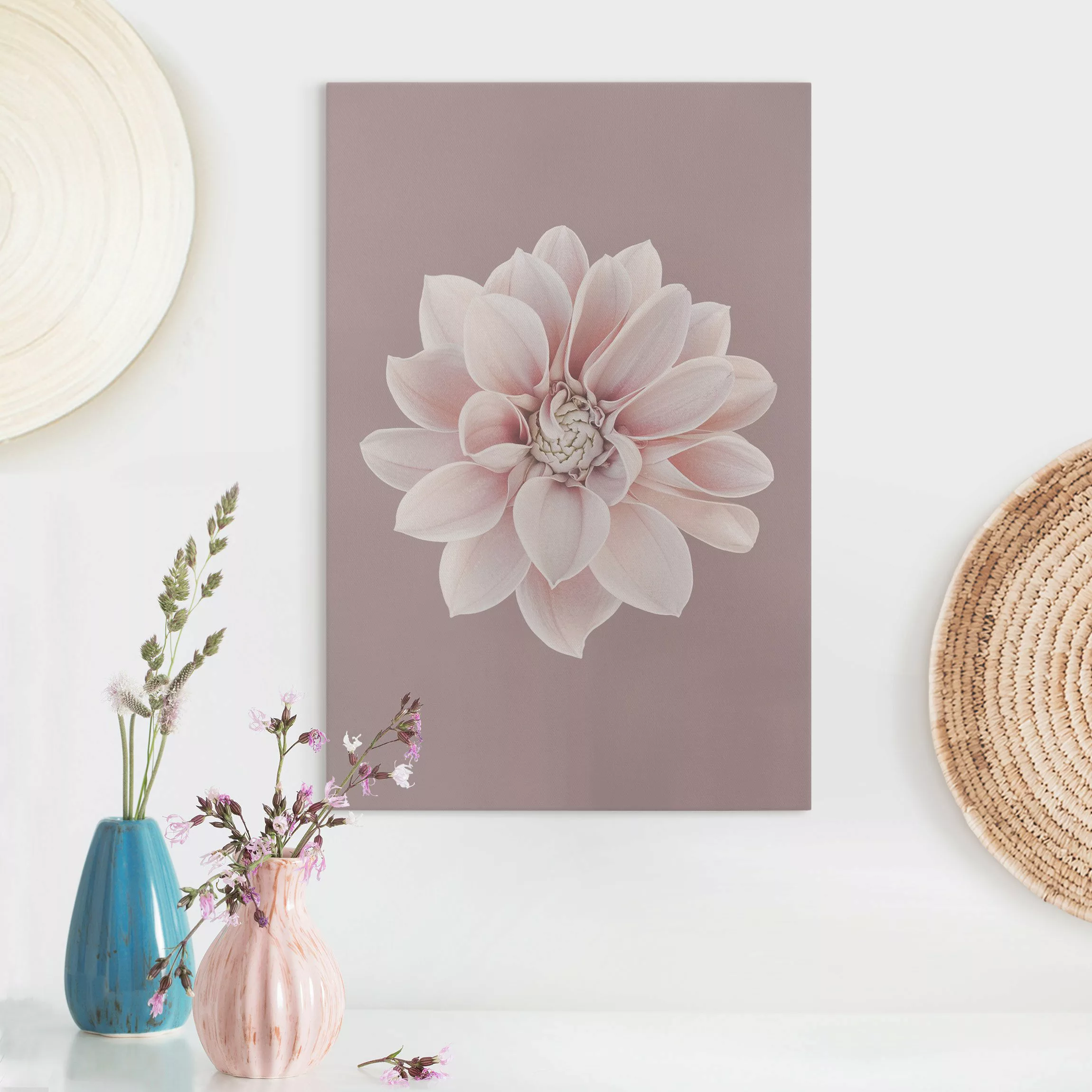 Leinwandbild Dahlie Blume Lavendel Weiß Rosa günstig online kaufen