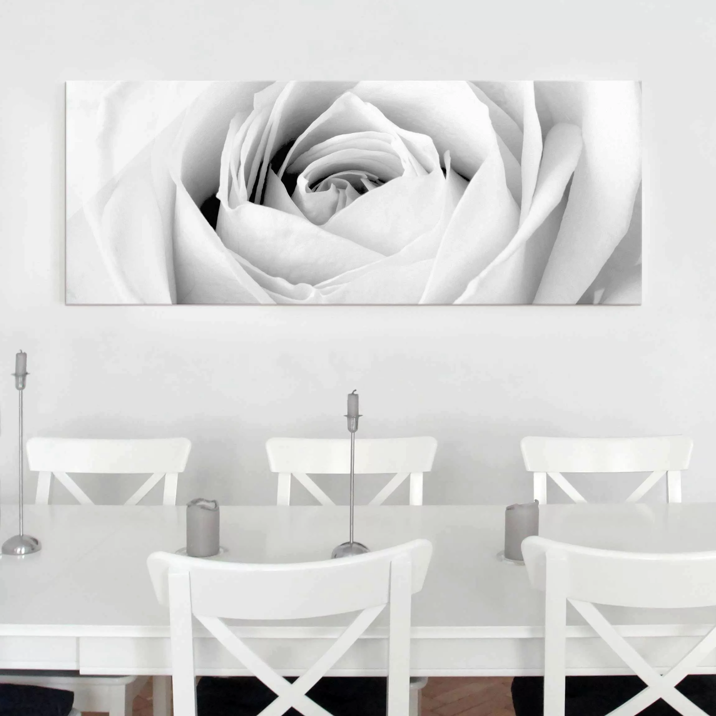 Glasbild Schwarz-Weiß - Panorama Close Up Rose günstig online kaufen