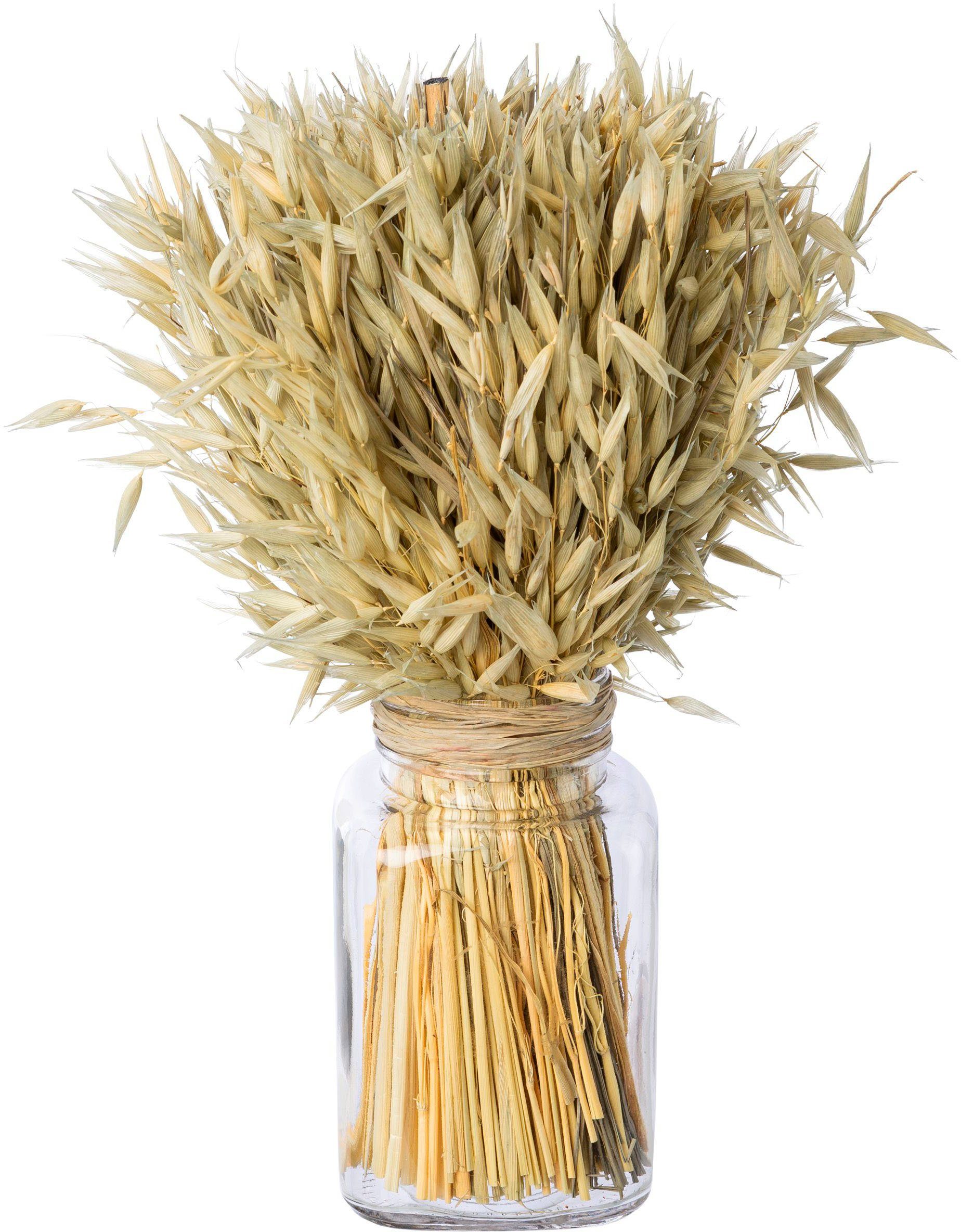 Trockenblume Trockenblumenarrangement im Glas, Creativ home, günstig online kaufen