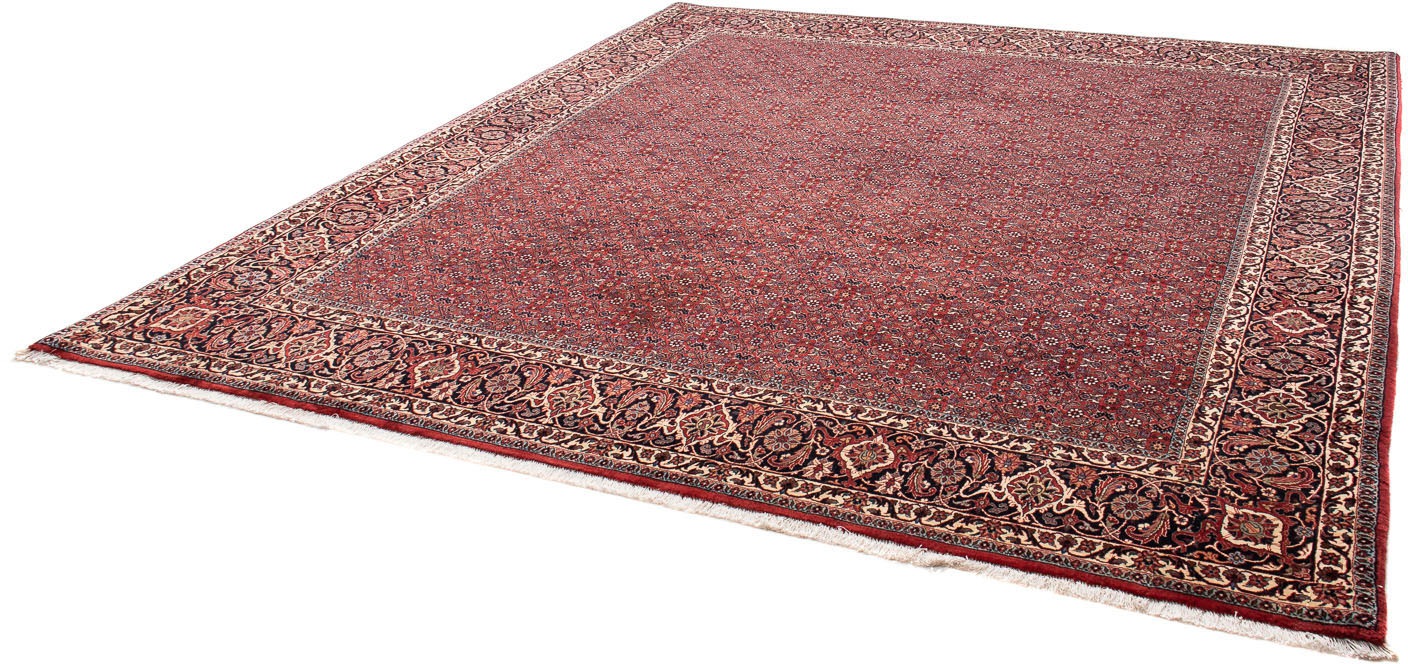 morgenland Orientteppich »Perser - Bidjar - 288 x 256 cm - dunkelrot«, rech günstig online kaufen