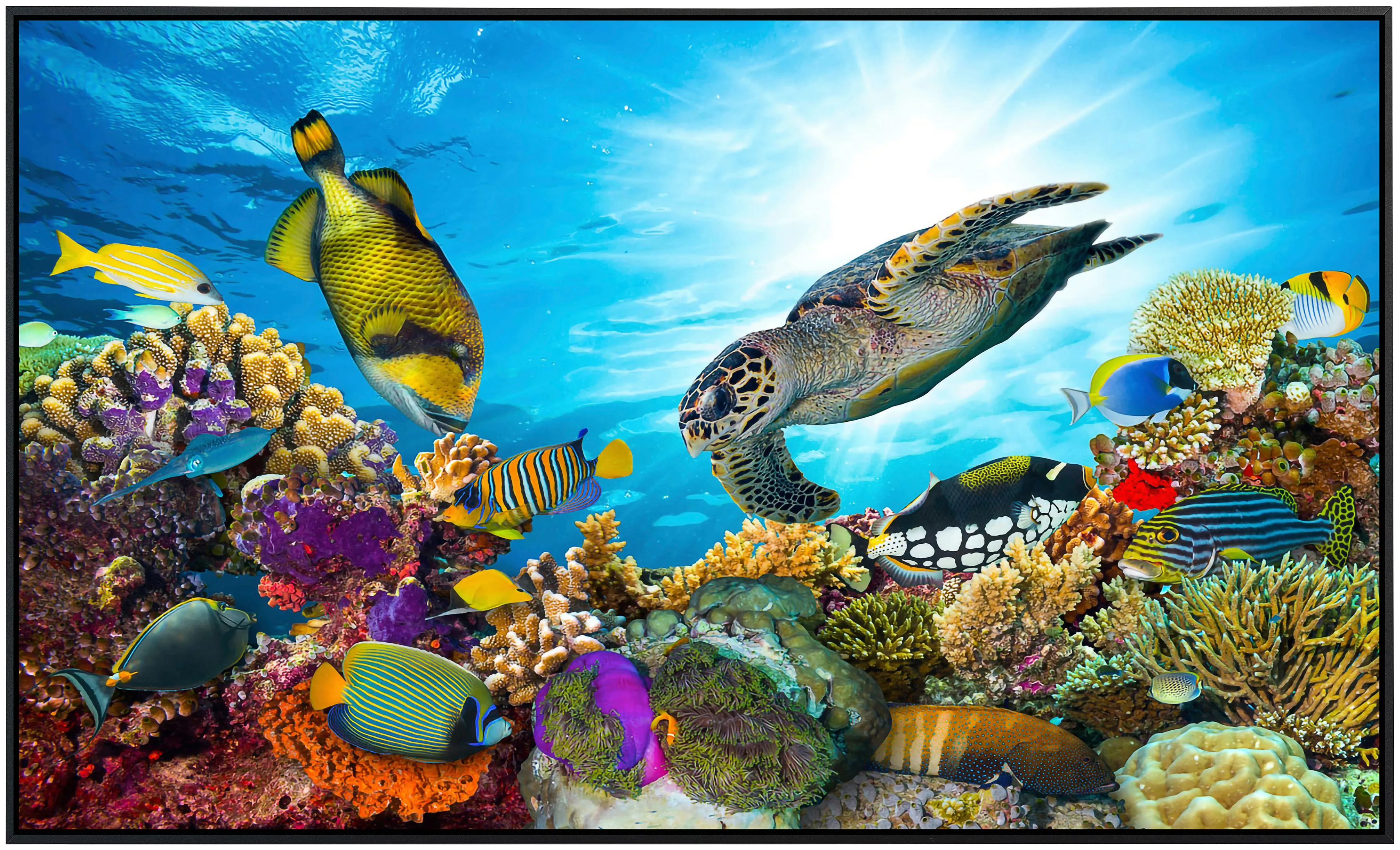 Papermoon Infrarotheizung »Korallenriff Fidschi« günstig online kaufen