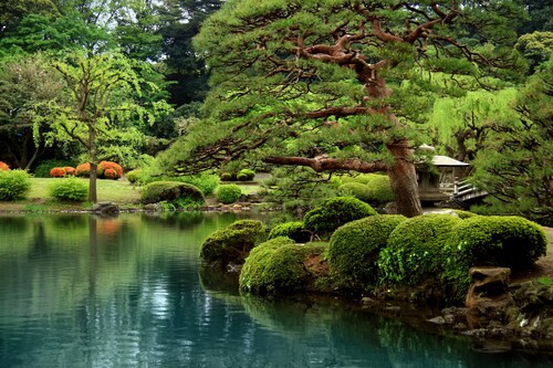 Papermoon Fototapete »Calm Zen Lake« günstig online kaufen