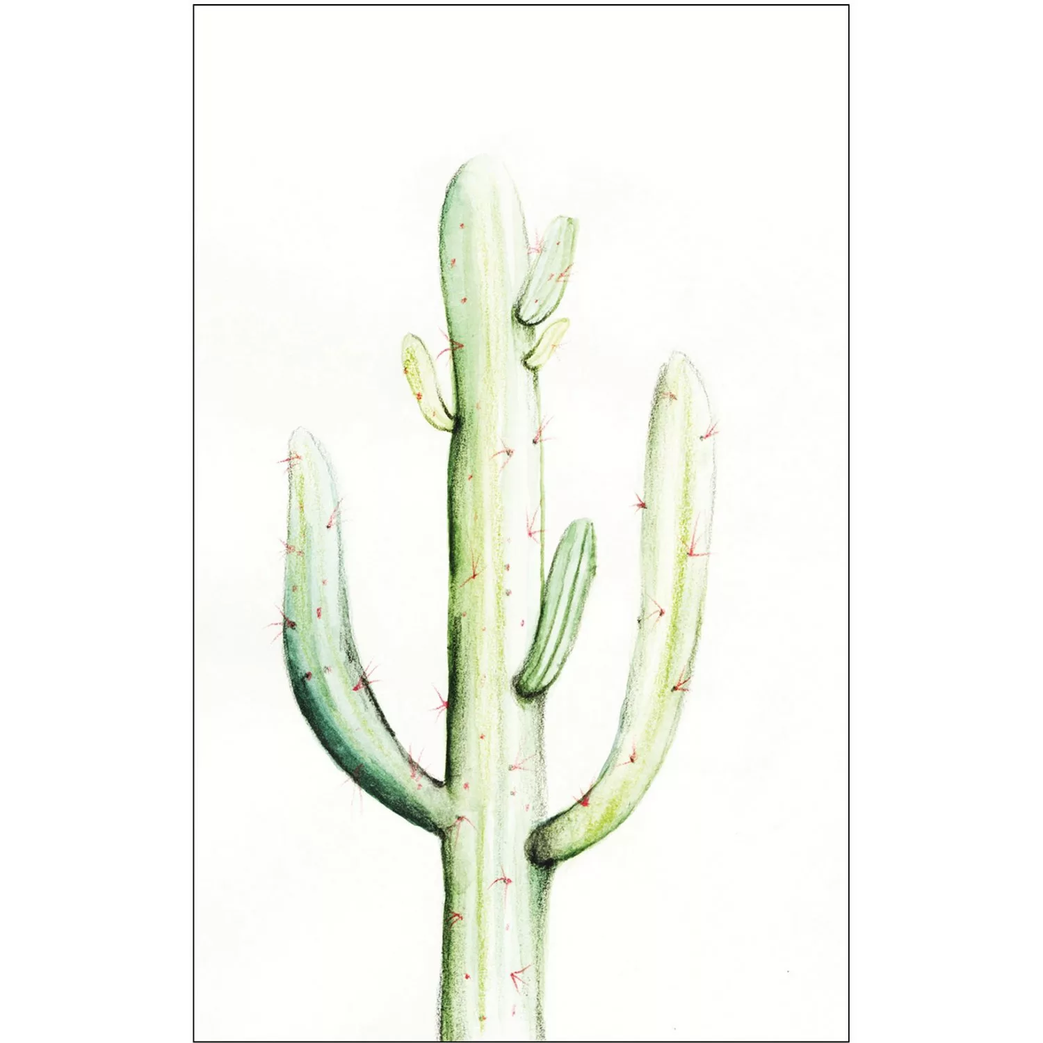 Komar Poster "Saguaro Watercolor", Pflanzen-Blätter, (1 St.), Kinderzimmer, günstig online kaufen