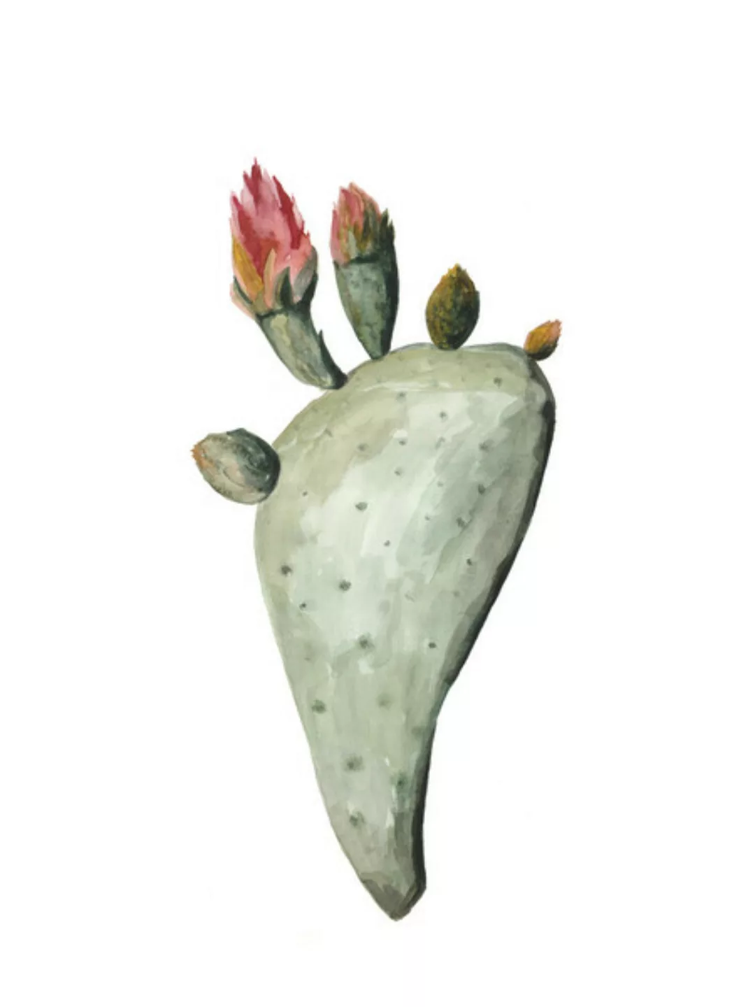 Poster / Leinwandbild - Mantika Botanical Kaktus Blumen günstig online kaufen