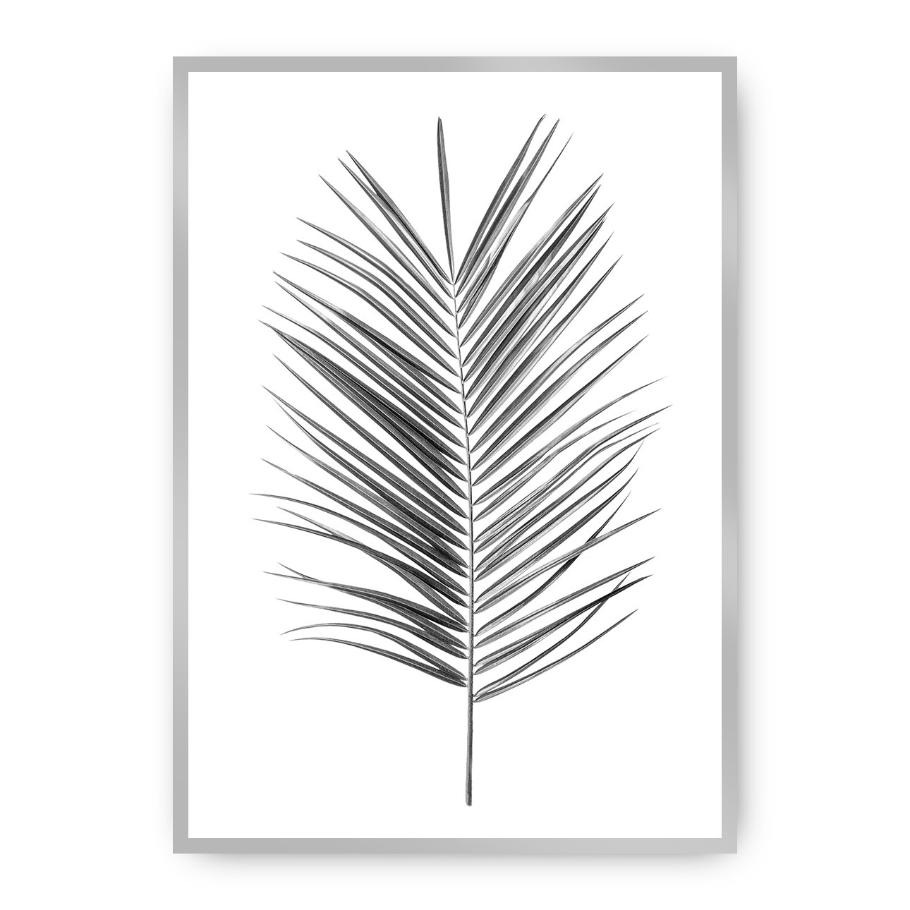 Poster Palm Leaf Green, 30 x 40 cm, Rahmen wählen: silber günstig online kaufen