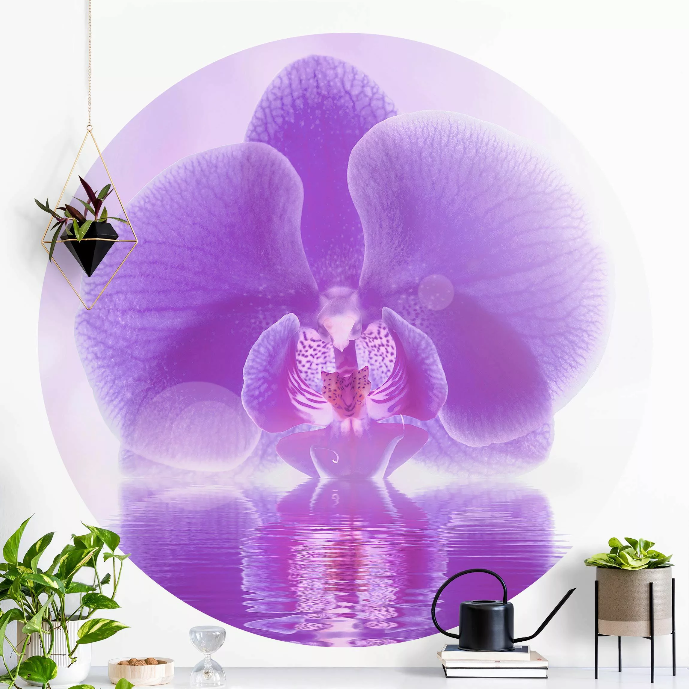 Runde Fototapete selbstklebend Lila Orchidee auf Wasser günstig online kaufen