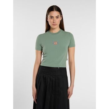 Dickies  T-Shirts & Poloshirts MAPLE VALLEY DK0A4XPO-L191 SEA SPRAY günstig online kaufen