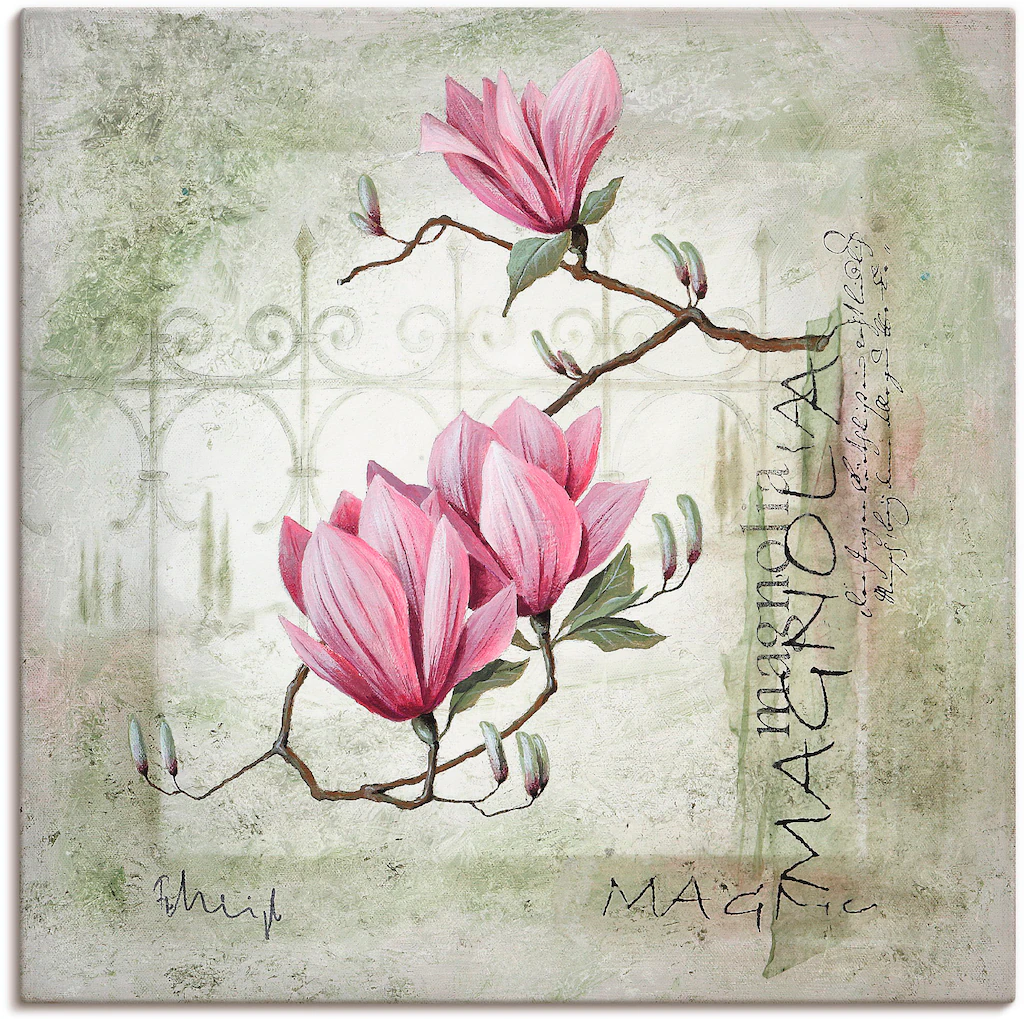 Artland Wandbild »Pinke Magnolie«, Blumen, (1 St.), als Leinwandbild, Poste günstig online kaufen