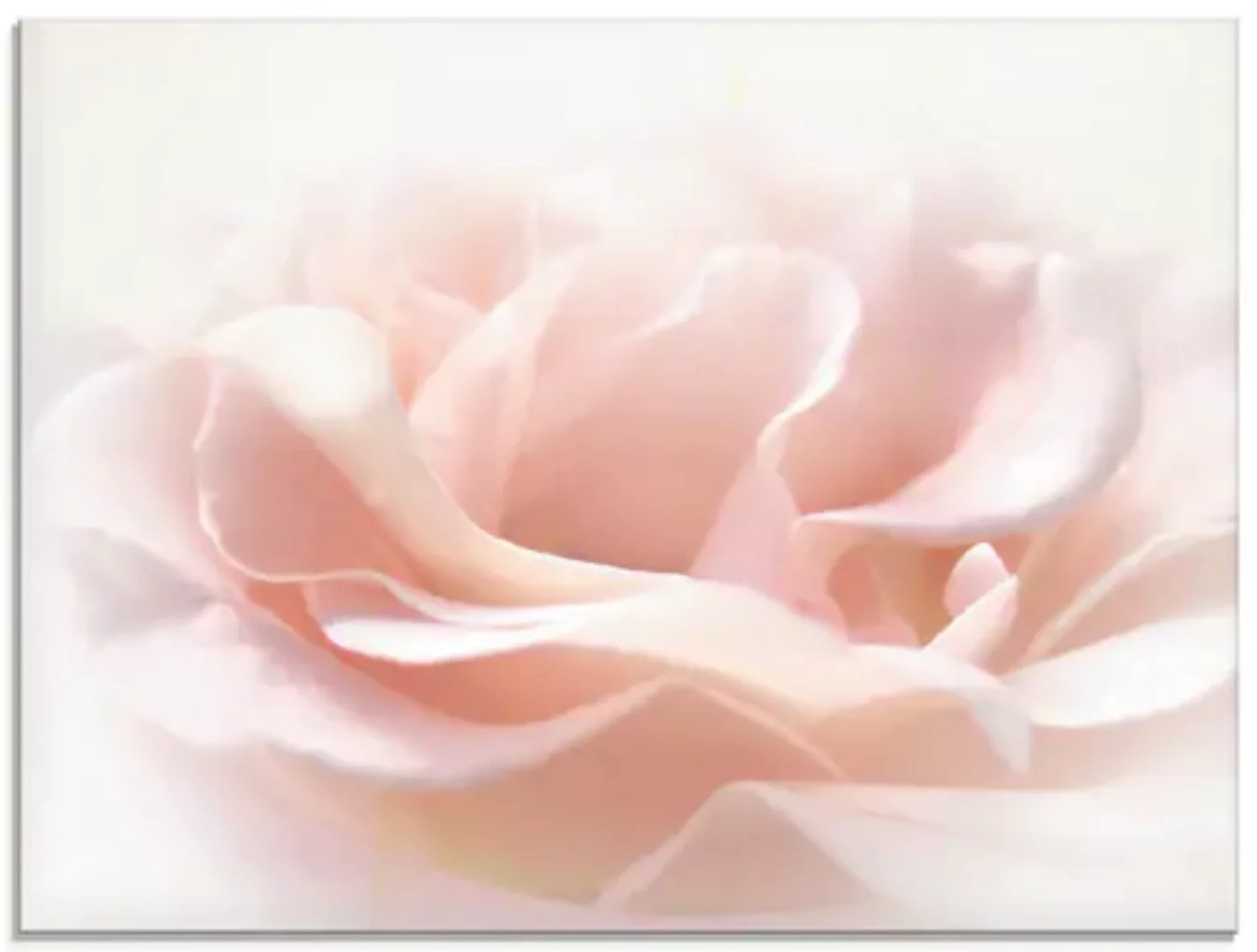 Artland Glasbild »Rose I«, Blumen, (1 St.), in verschiedenen Größen günstig online kaufen