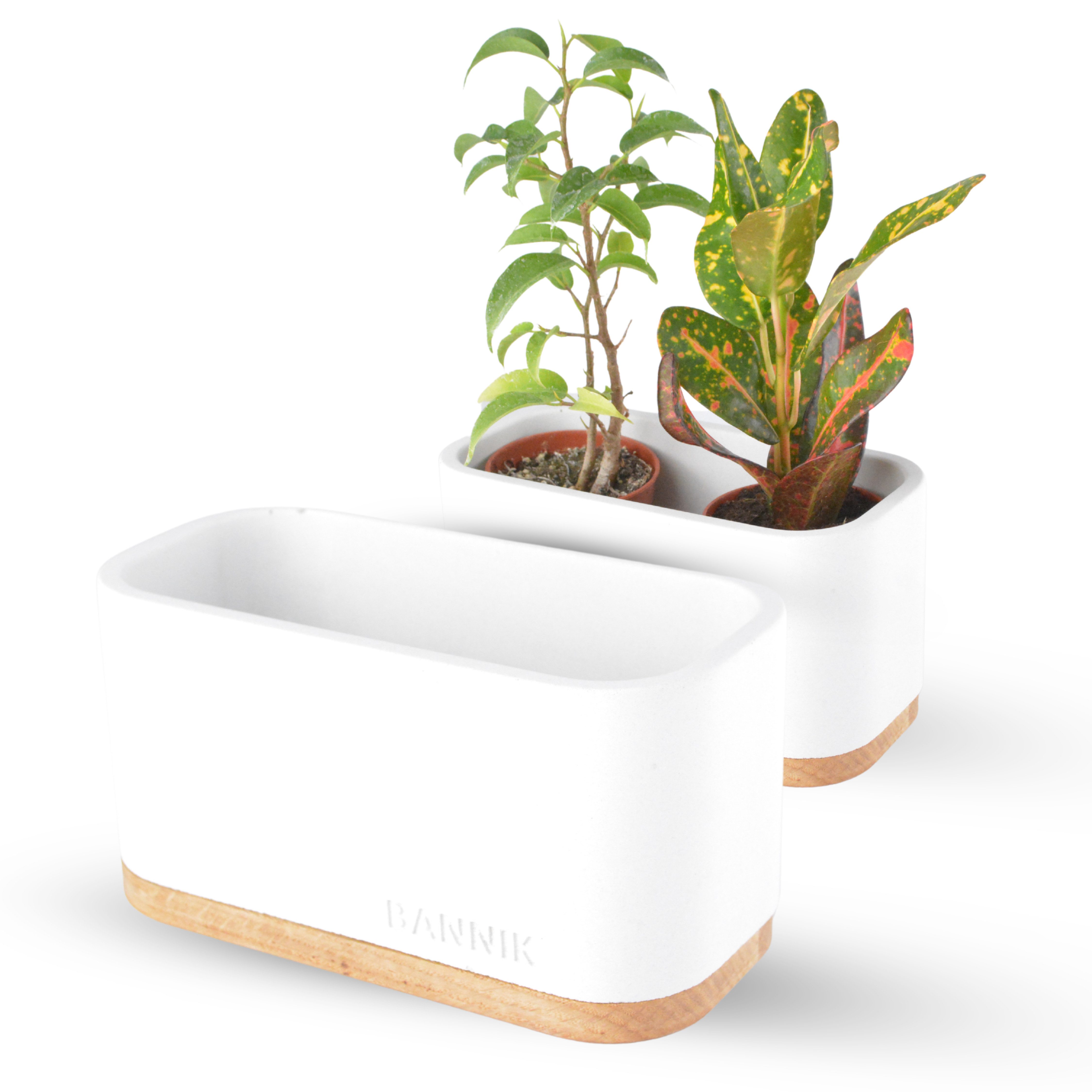 Bannik Blumentopf aus Beton - Unikat günstig online kaufen