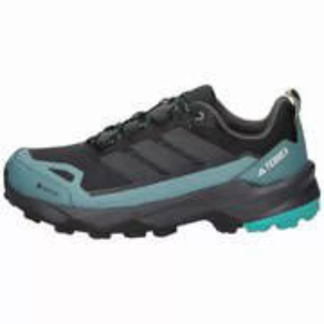 adidas Terrex Skychaser AX5 GTX Herren schwarz|schwarz günstig online kaufen