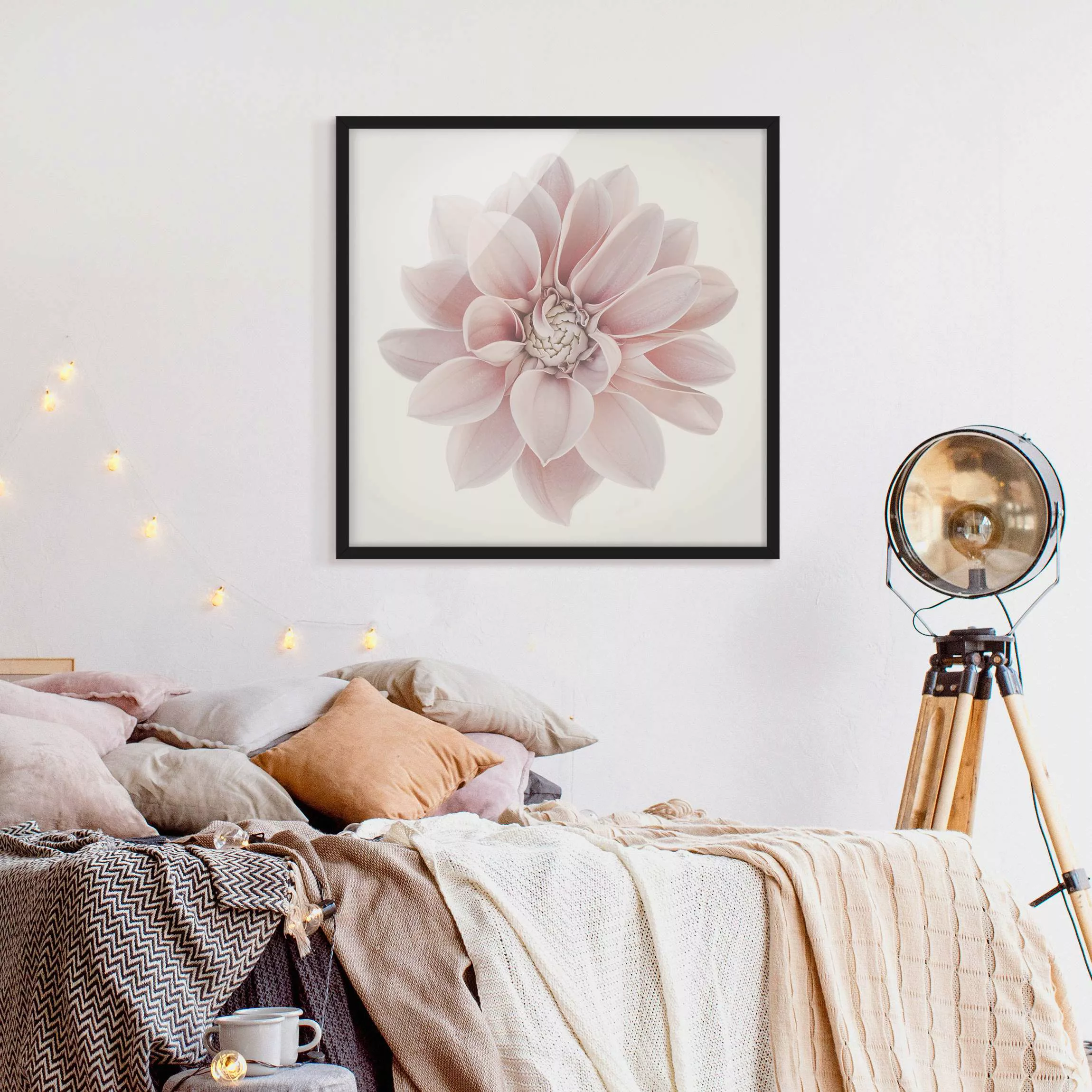 Bild mit Rahmen Dahlie Blume Pastell Weiß Rosa günstig online kaufen