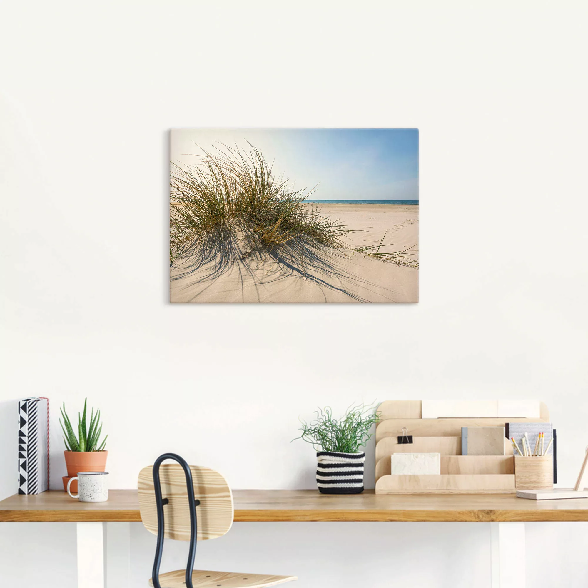 Artland Wandbild "Strandgras", Küste, (1 St.), als Alubild, Outdoorbild, Le günstig online kaufen