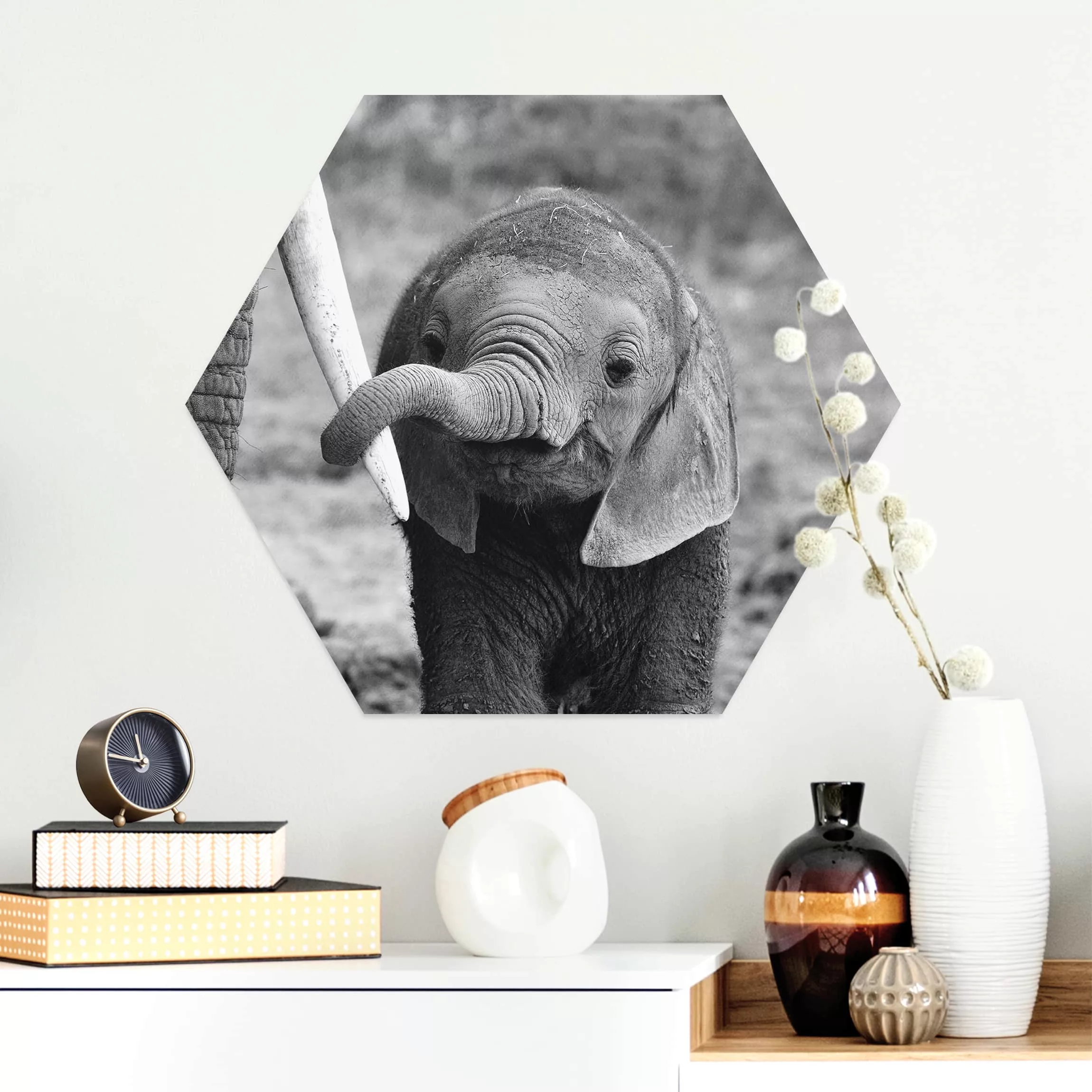 Hexagon-Alu-Dibond Bild Tiere Elefantenbaby günstig online kaufen