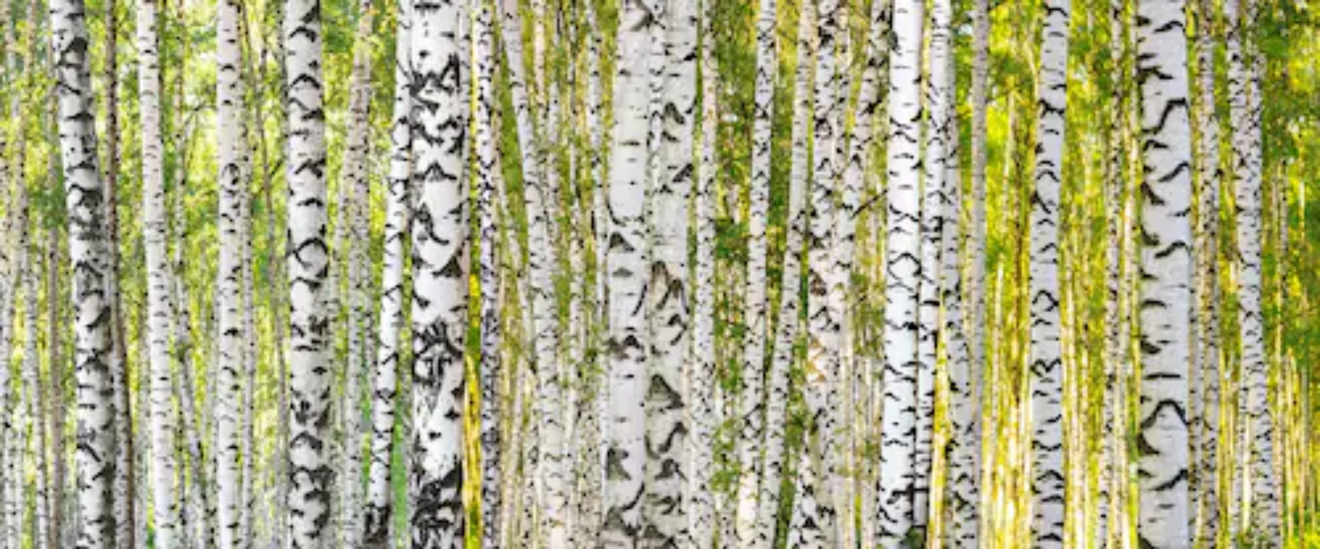 Architects Paper Fototapete »Birch Forest«, Vlies, Wand, Schräge günstig online kaufen