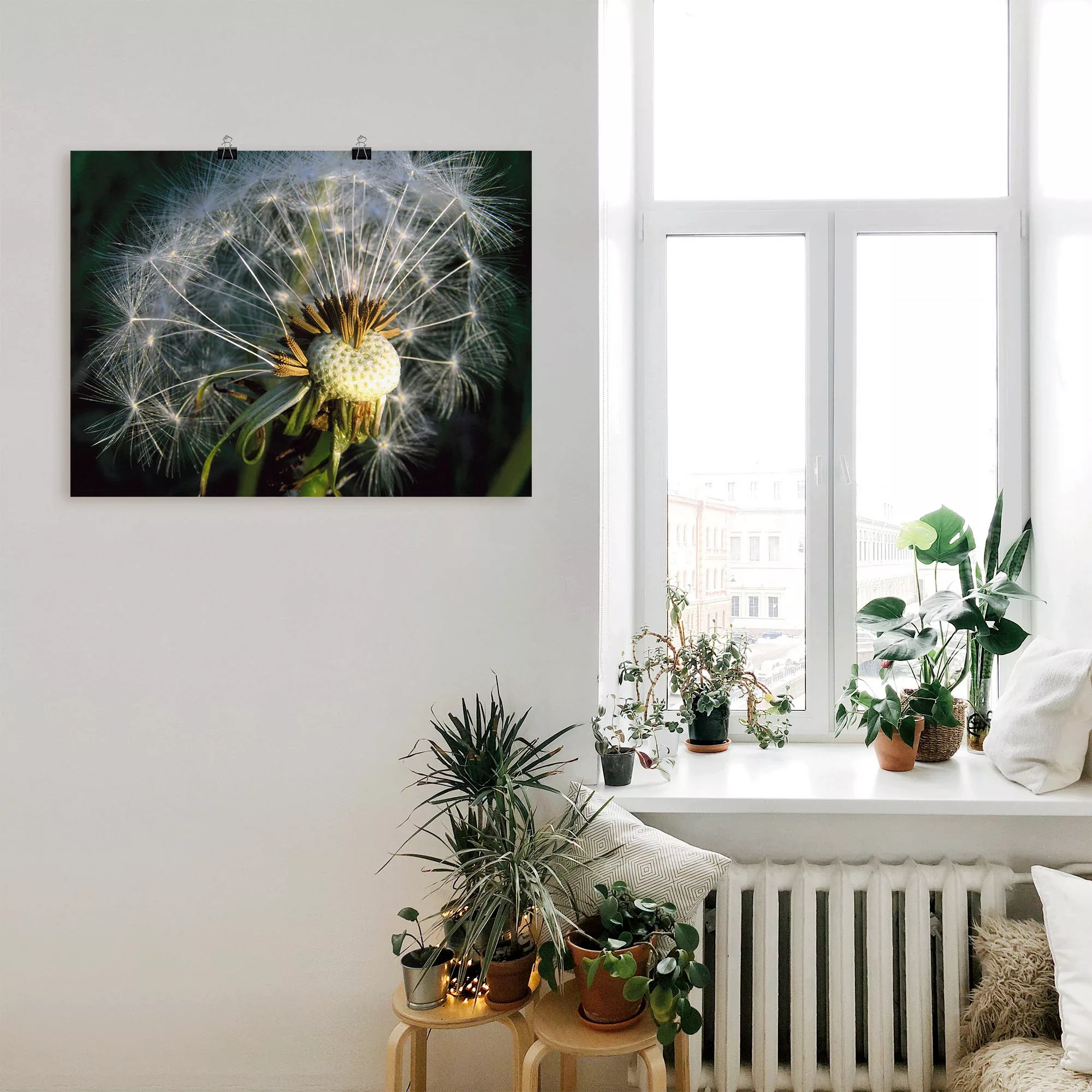 Artland Poster "Pusteblume", Blumen, (1 St.), als Alubild, Leinwandbild, Wa günstig online kaufen