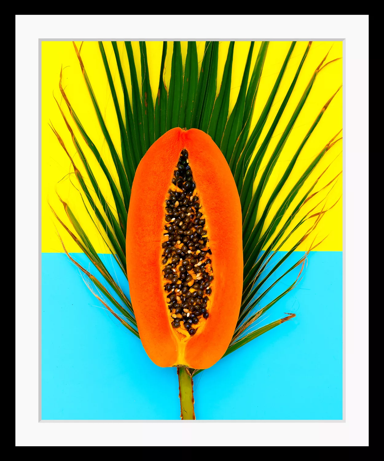 queence Bild »Papaya«, Obst-Obst Bilder-Blätter-Essen-Lebensmittel, HD Prem günstig online kaufen