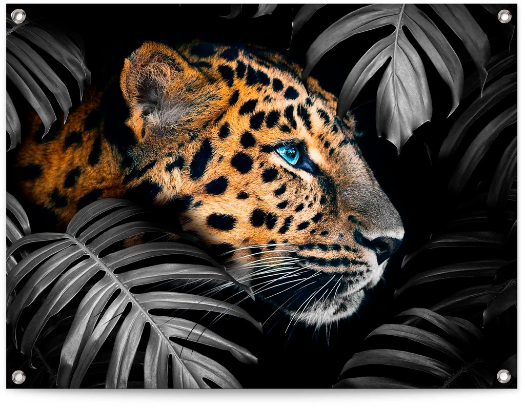 Reinders Poster "Leopard" günstig online kaufen