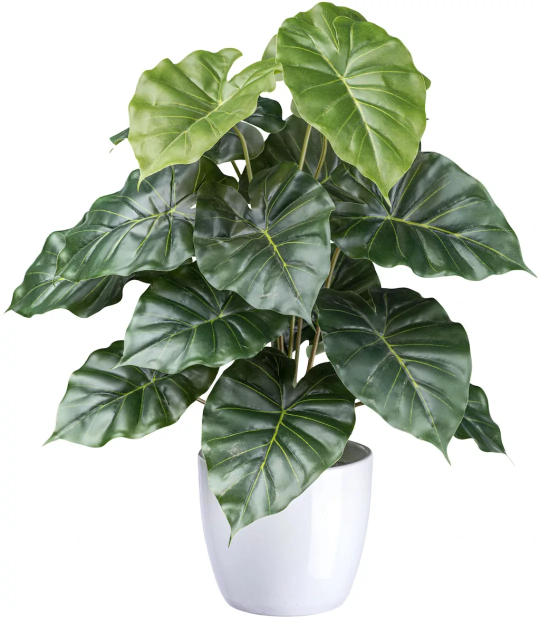 Creativ green Künstliche Zimmerpflanze "Philodendron", mit detailgetreuen B günstig online kaufen