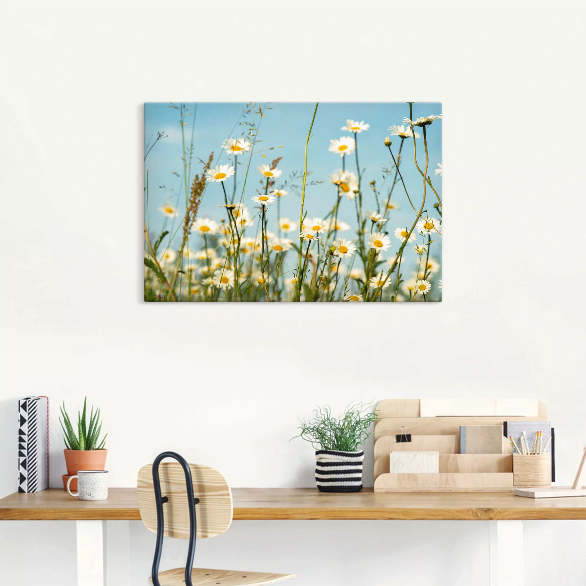 Artland Wandbild "Margeriten vor Sommer Himmel", Blumenbilder, (1 St.) günstig online kaufen