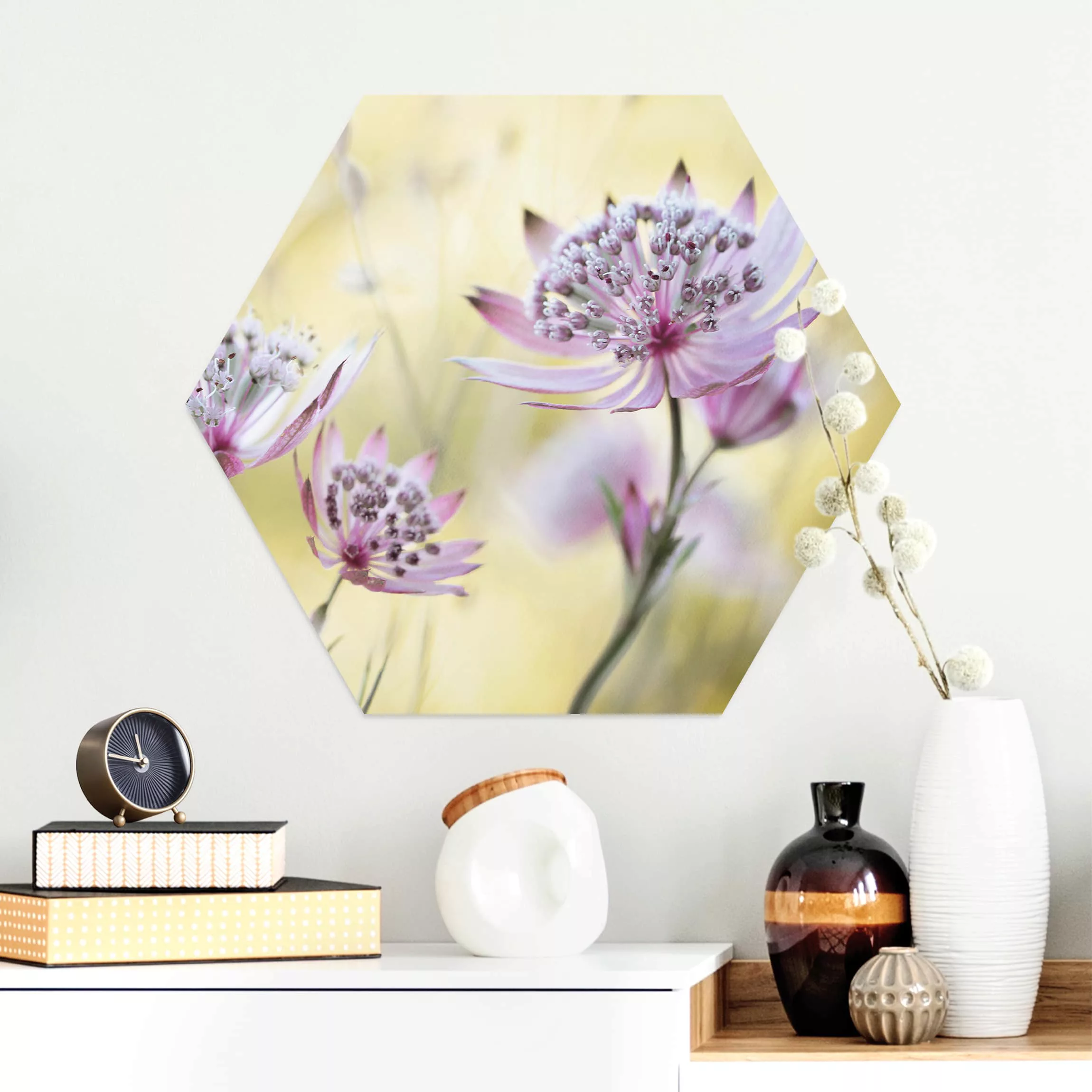 Hexagon-Alu-Dibond Bild Blumen Astrantia Major günstig online kaufen