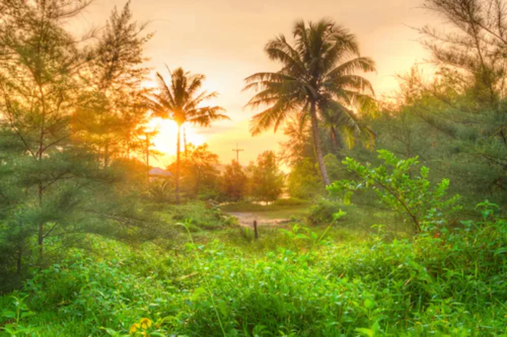 Papermoon Fototapete »Amazing Jungle Sunrise« günstig online kaufen