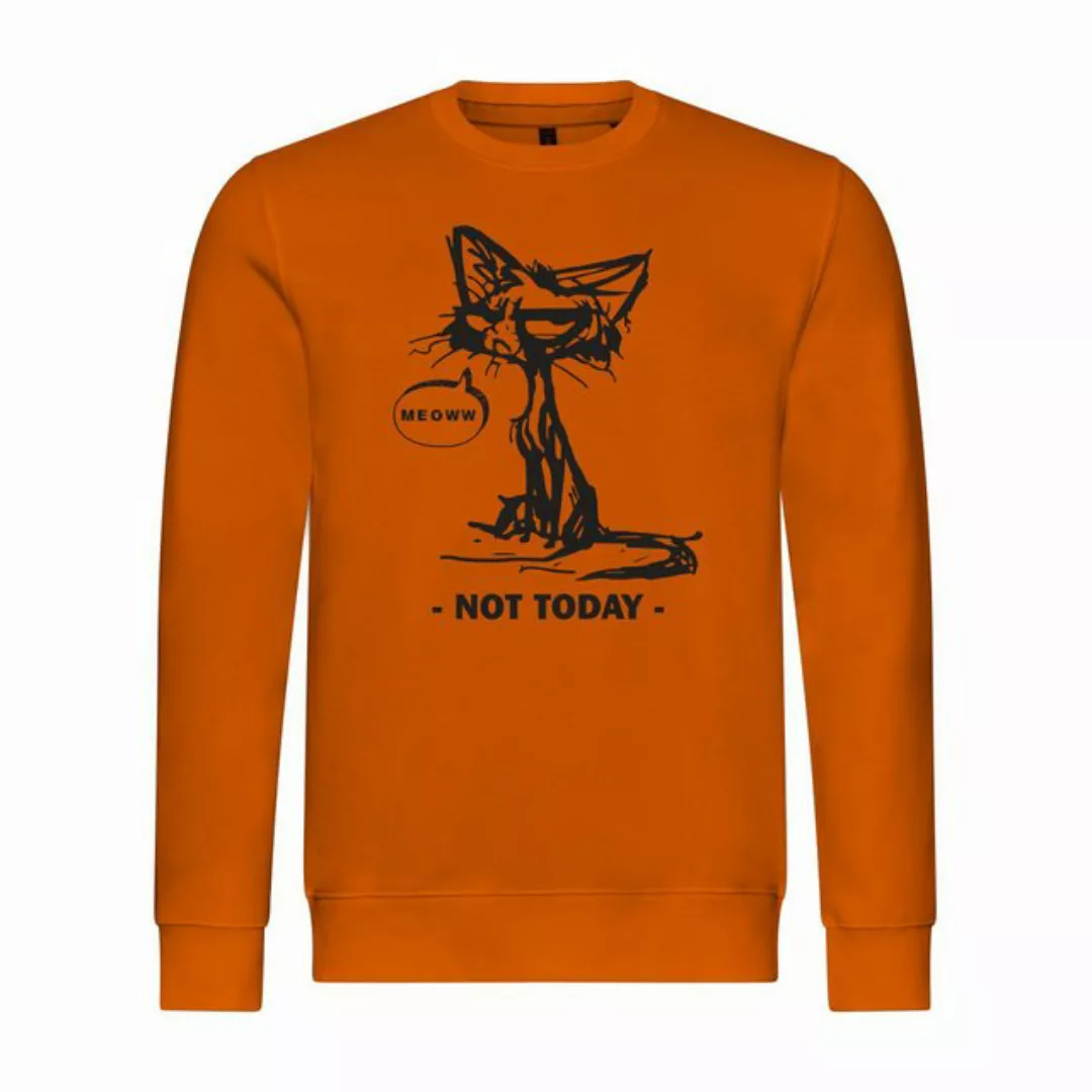 deinshirt Rundhalspullover Herren Pullover Katze not today Mit Print Motiv, günstig online kaufen